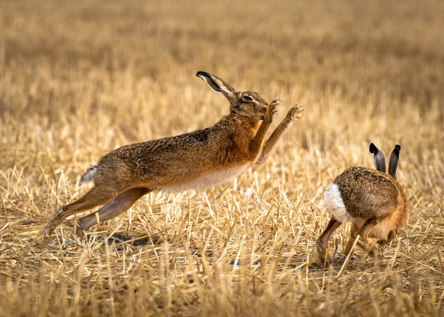 HC Take That by Gerald Clarke