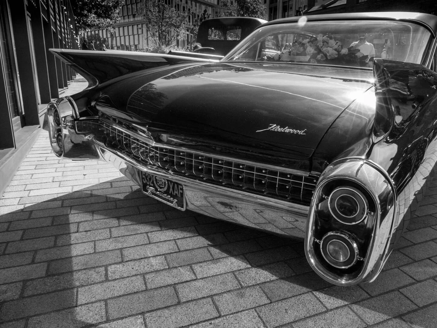 Image By Gerald Clarke