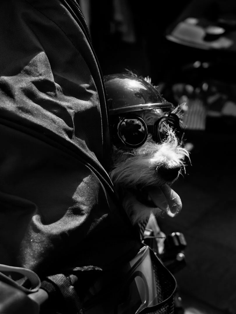 Image By Gerald Clarke