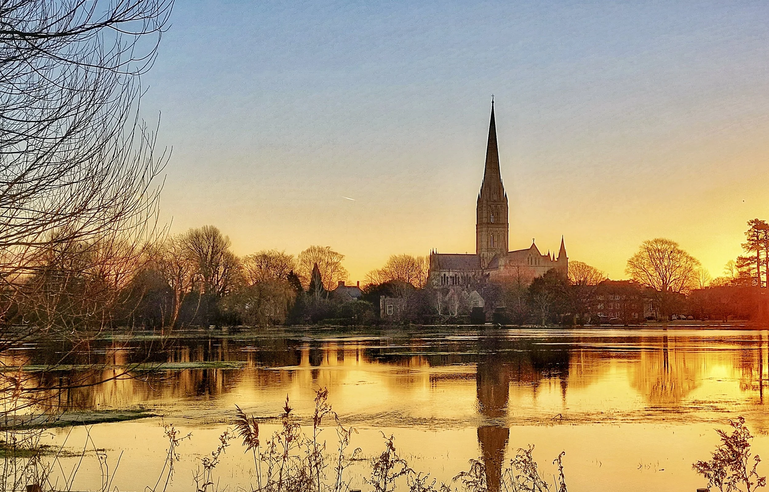 Salisbury Cathedral from Water Meadow by Caroline Wright
