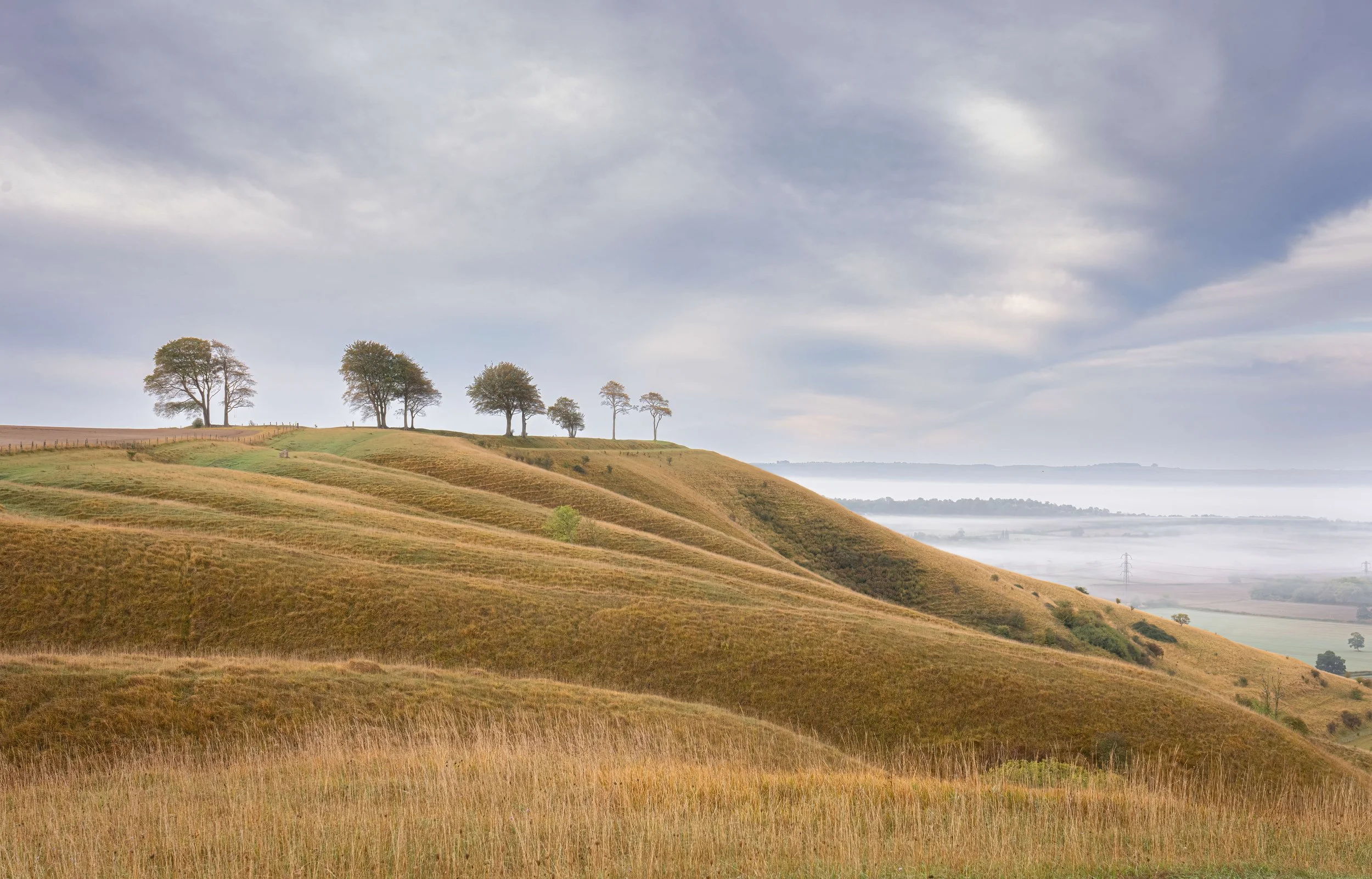 Roundway Hill and Olivers Castle