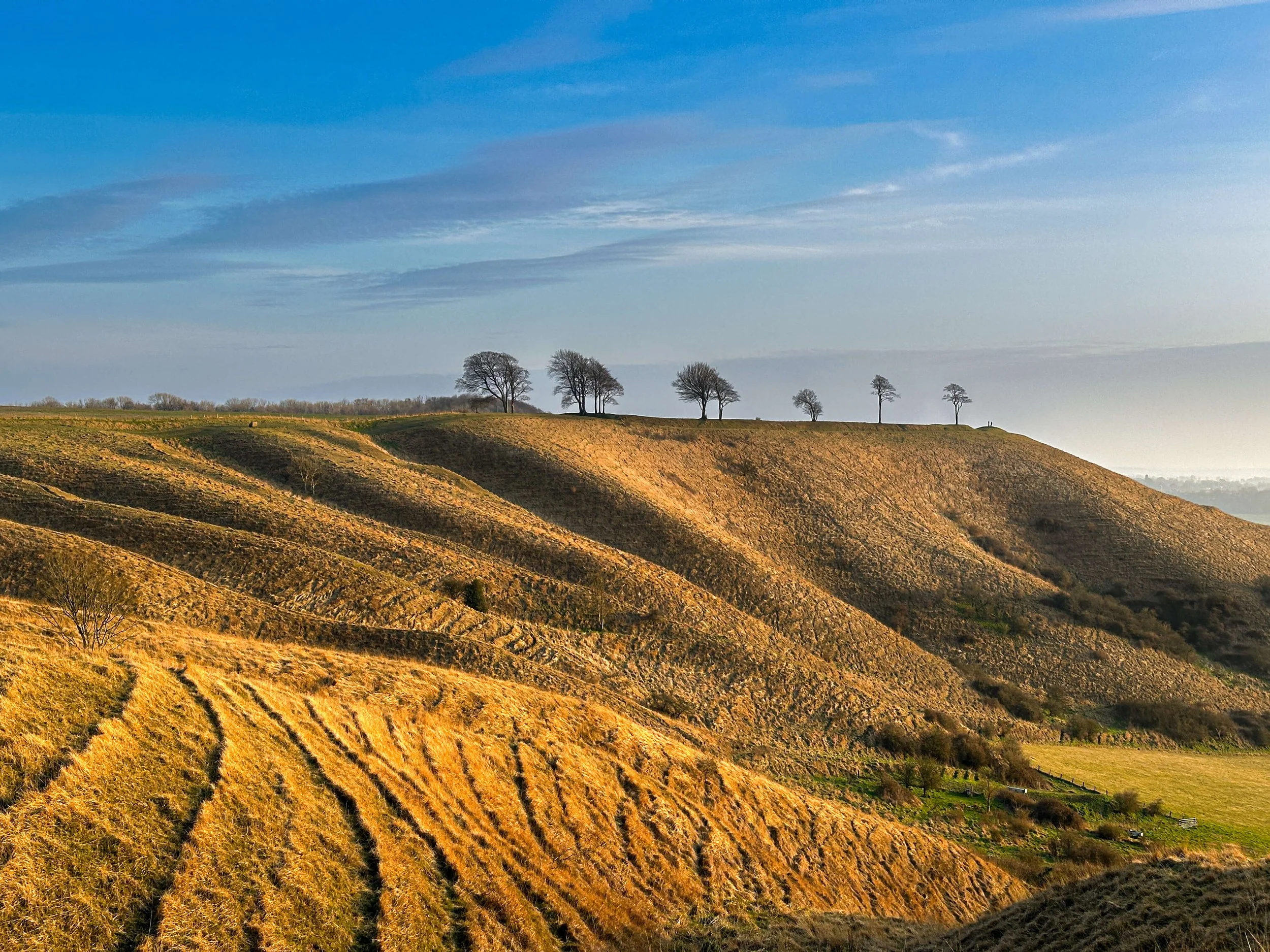 Roundway by Vijay Patel
