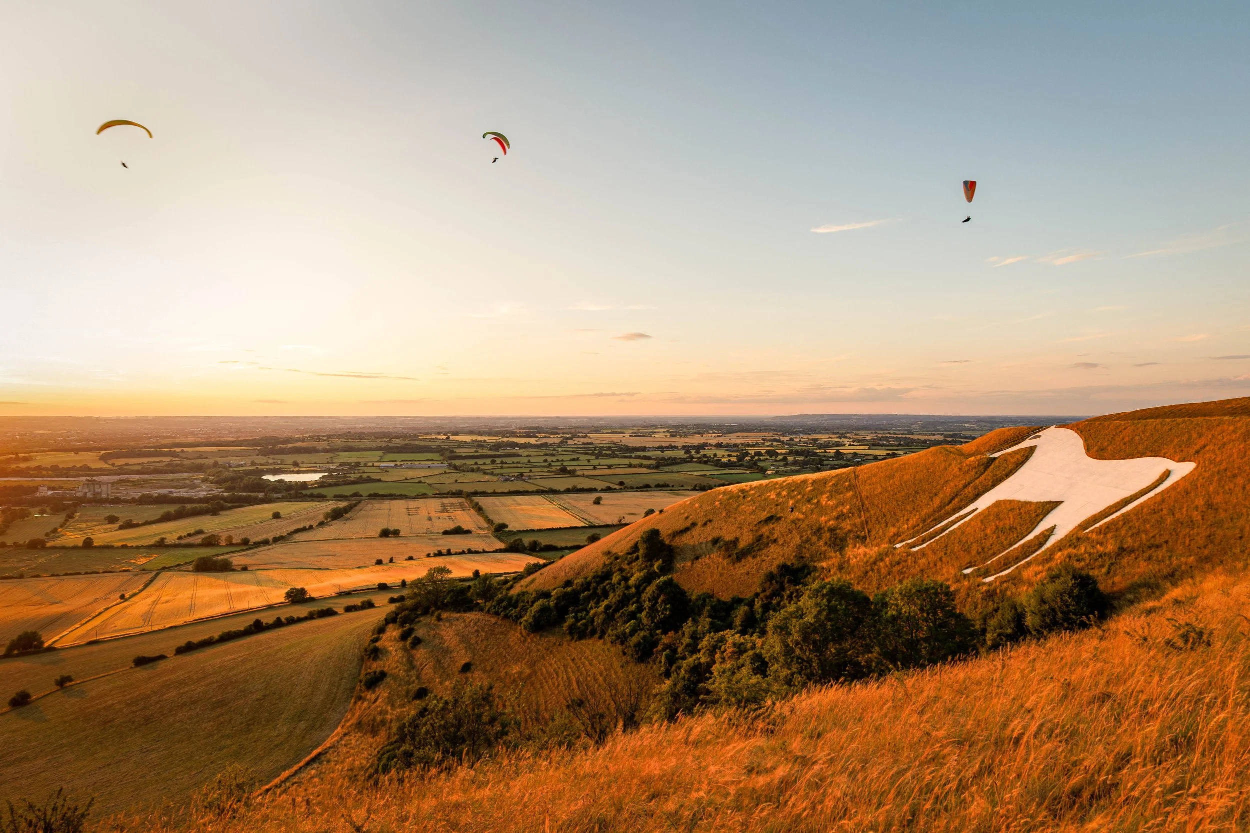 Westbury White Horse by Bridget Codrington