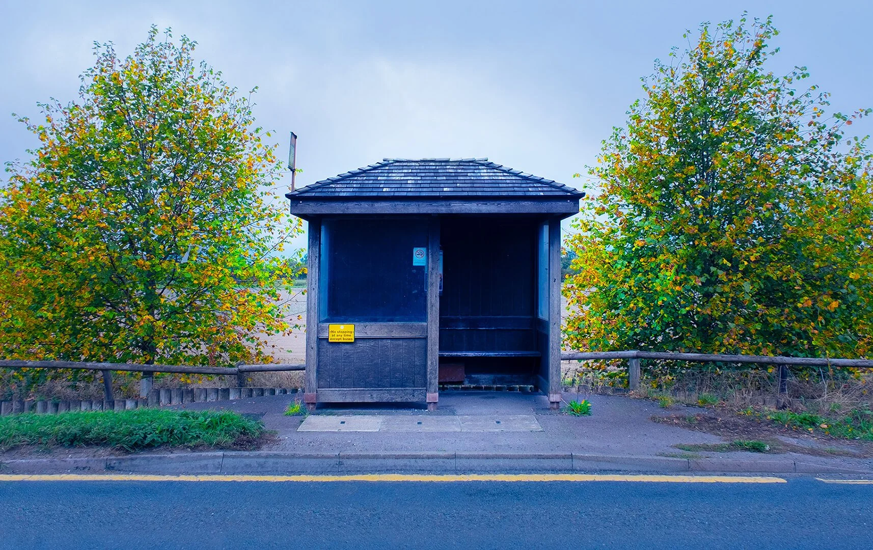 Image By Robin Gregory