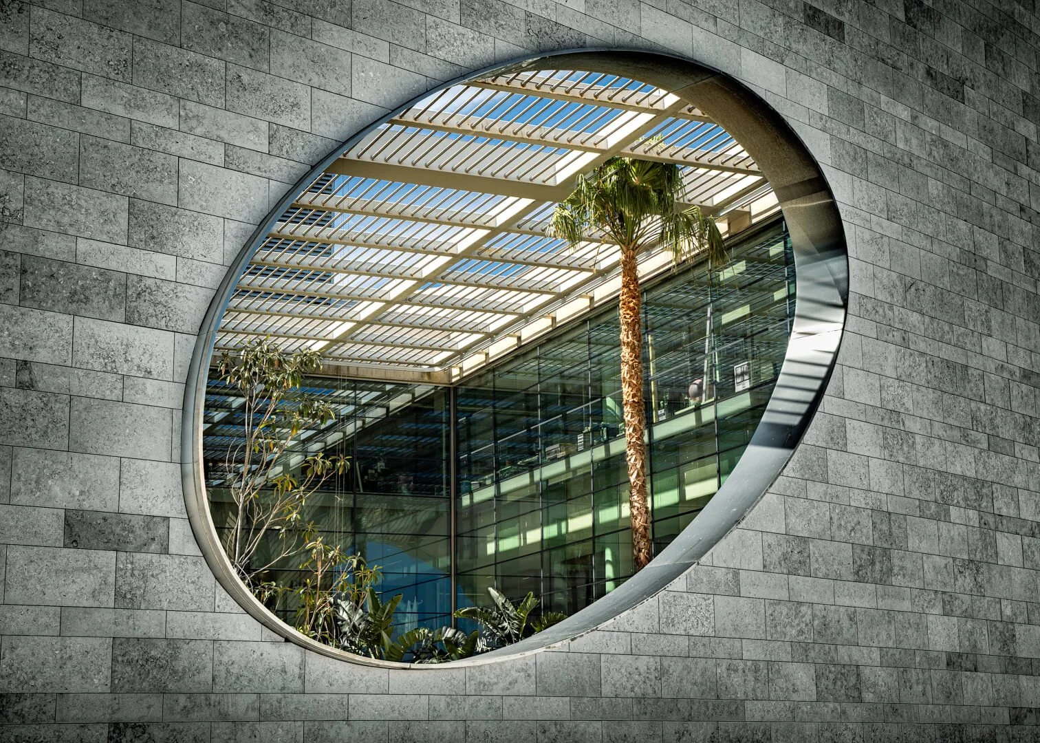 1st Oculus by Gerald Clarke