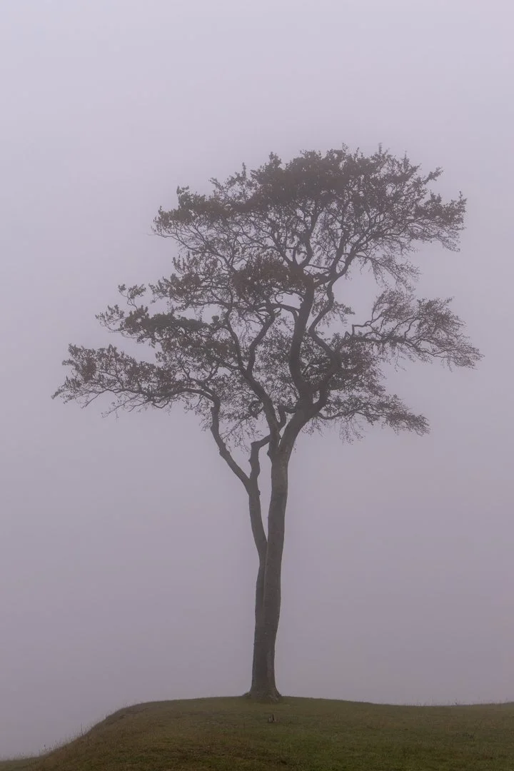 Image by Graham Sawyer