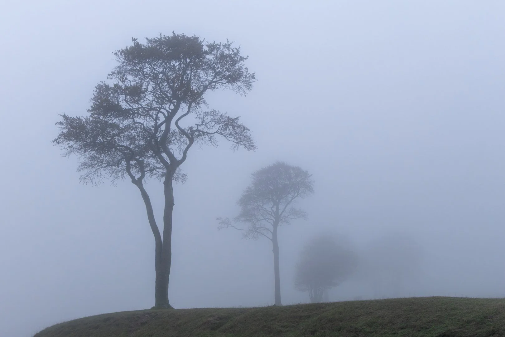 Image by Graham Sawyer