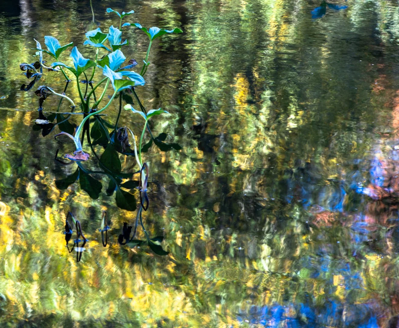Image by Penny Clarke