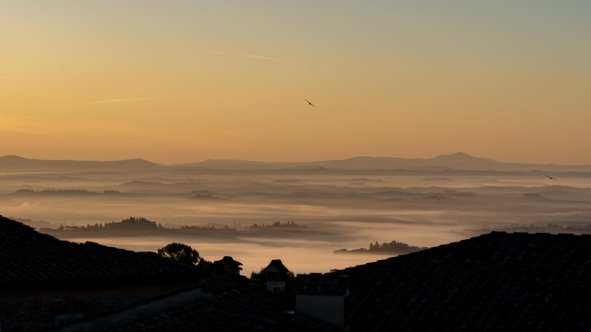 3rd Misty Tuscan sunrise.jpg