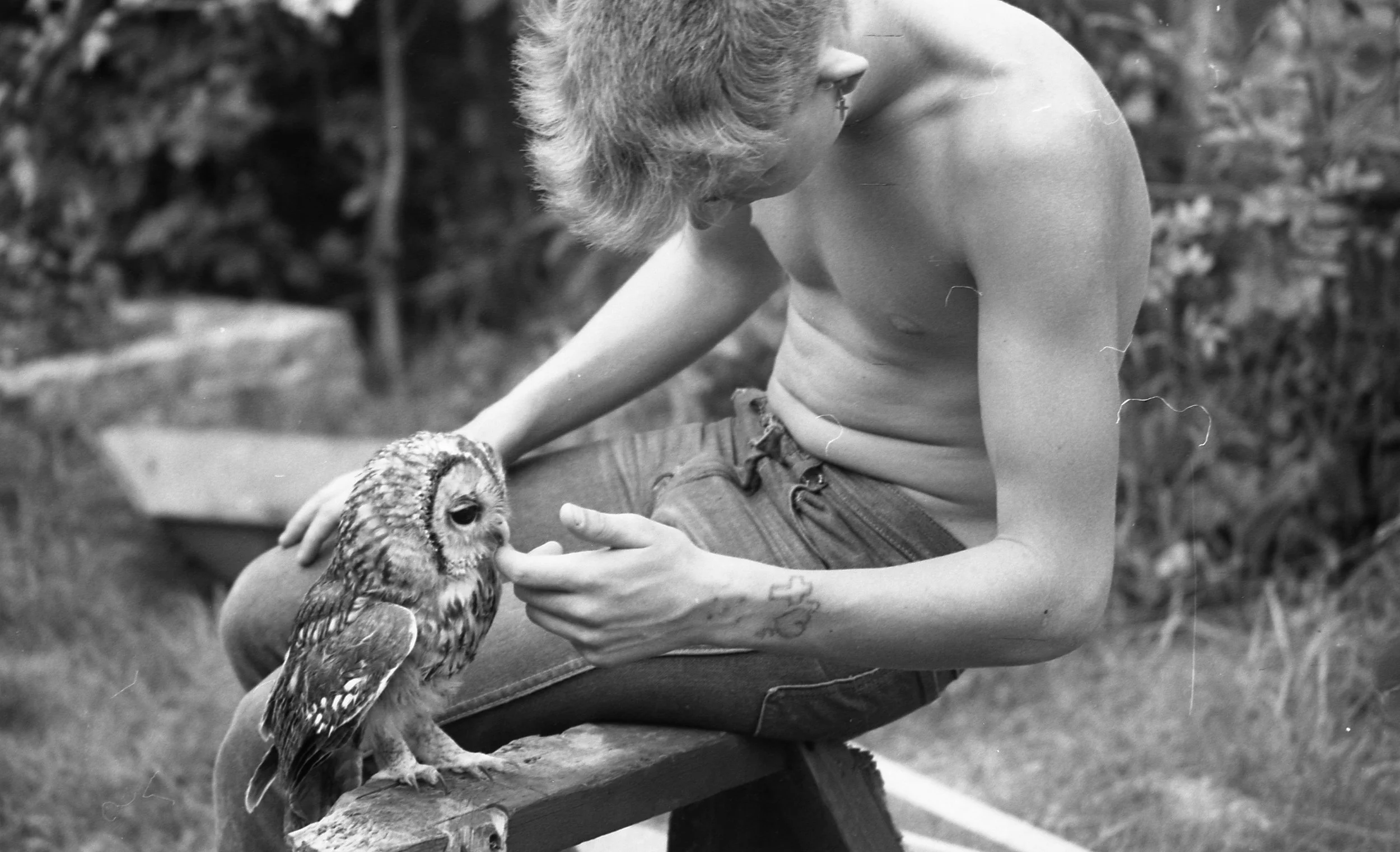 E60 5.7.81 Owl015.jpg
