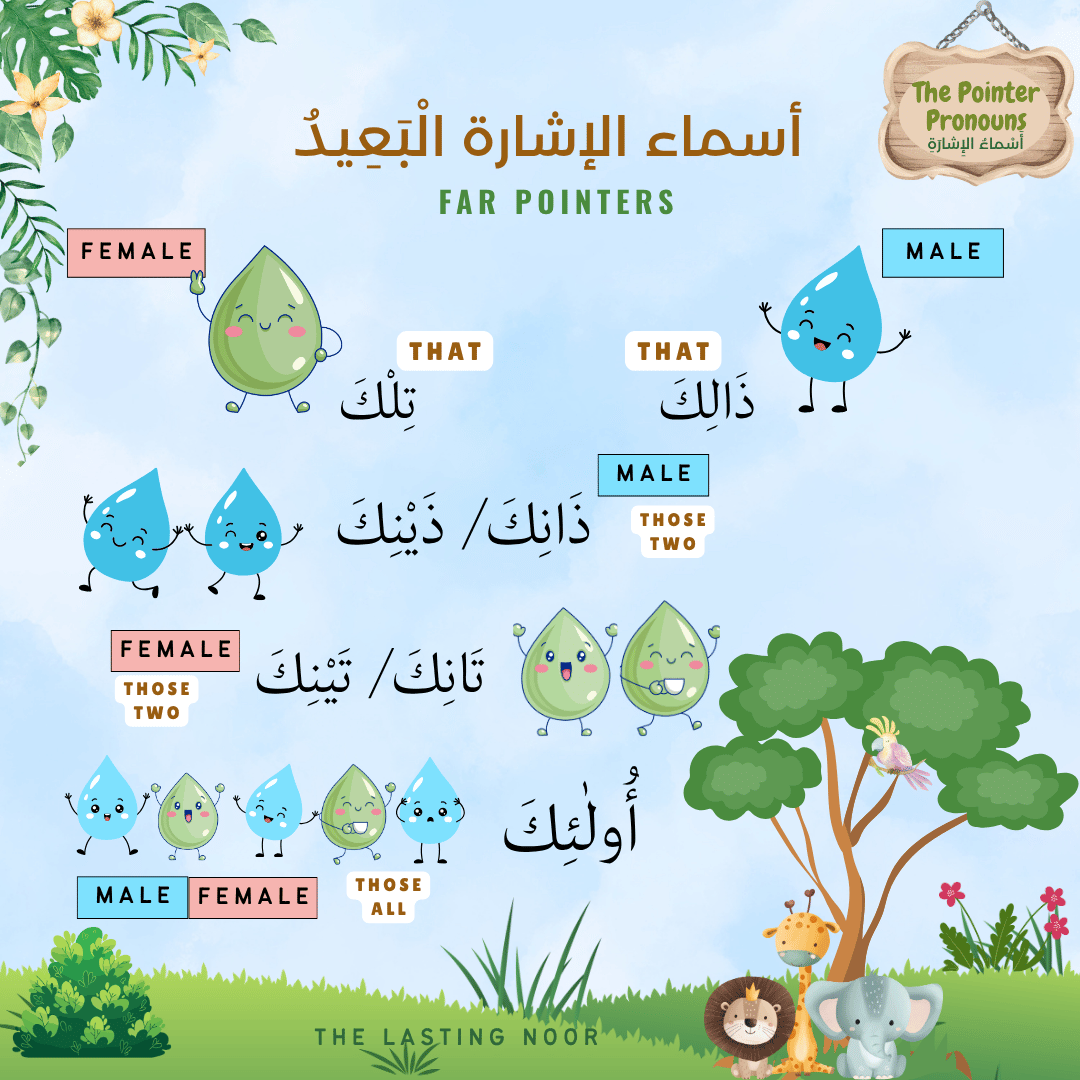 أَسْماءُ الإِشارَةِ The Pointer Pronouns - classification - far pointers