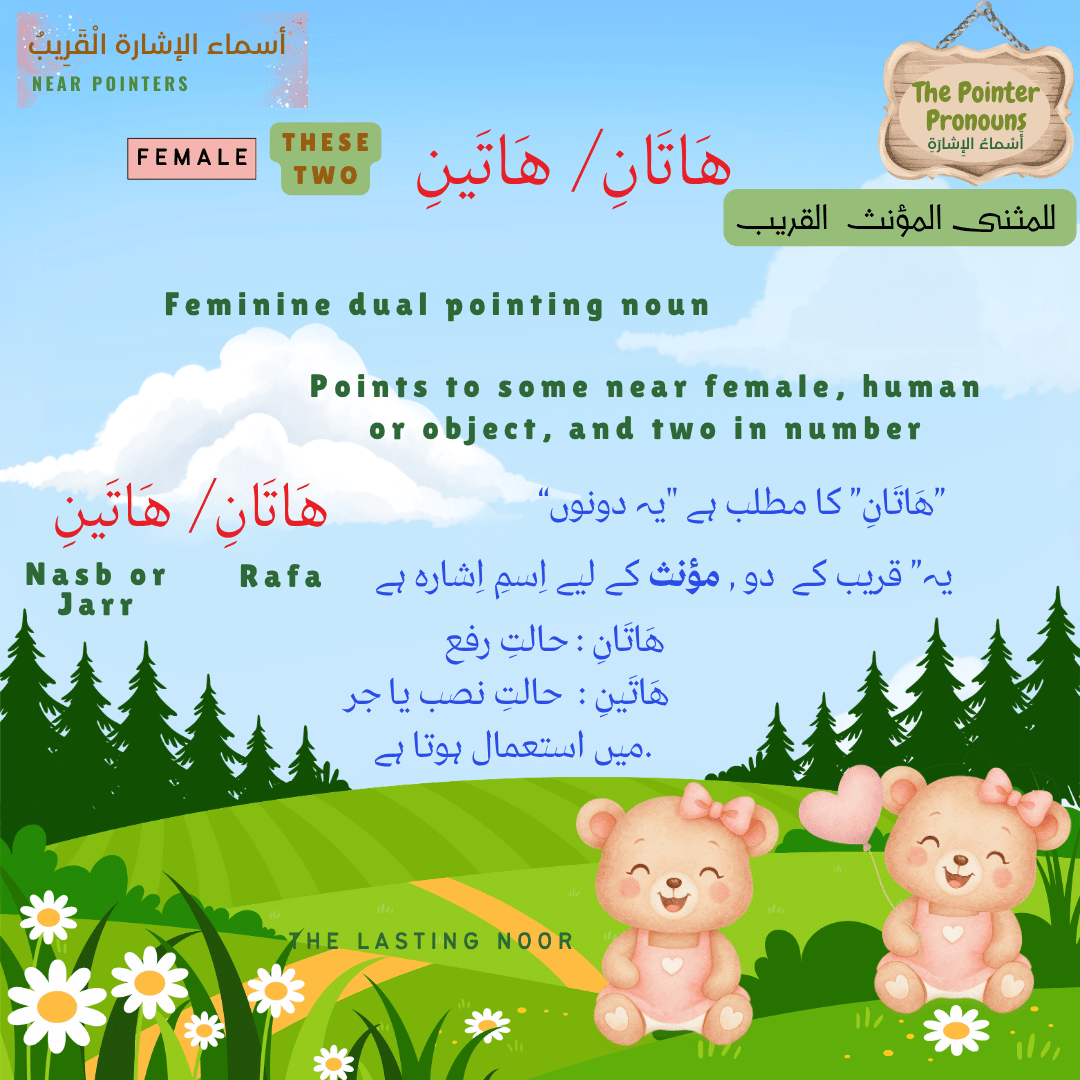 أَسْماءُ الإِشارَةِ The Pointer Pronouns - هَاتَانِ_ هَاتَينِ - definition