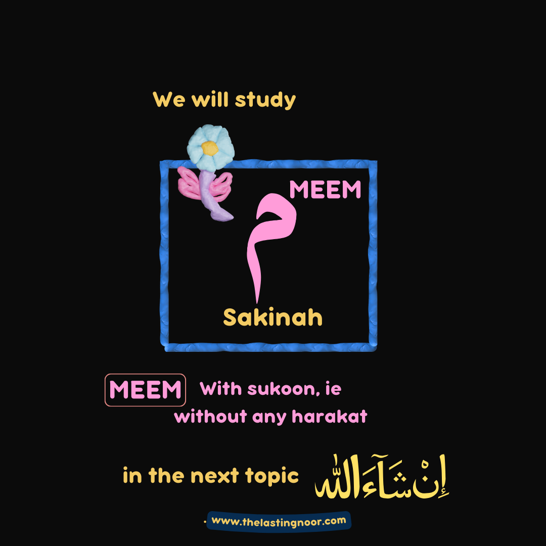 meem sakinah continuation page