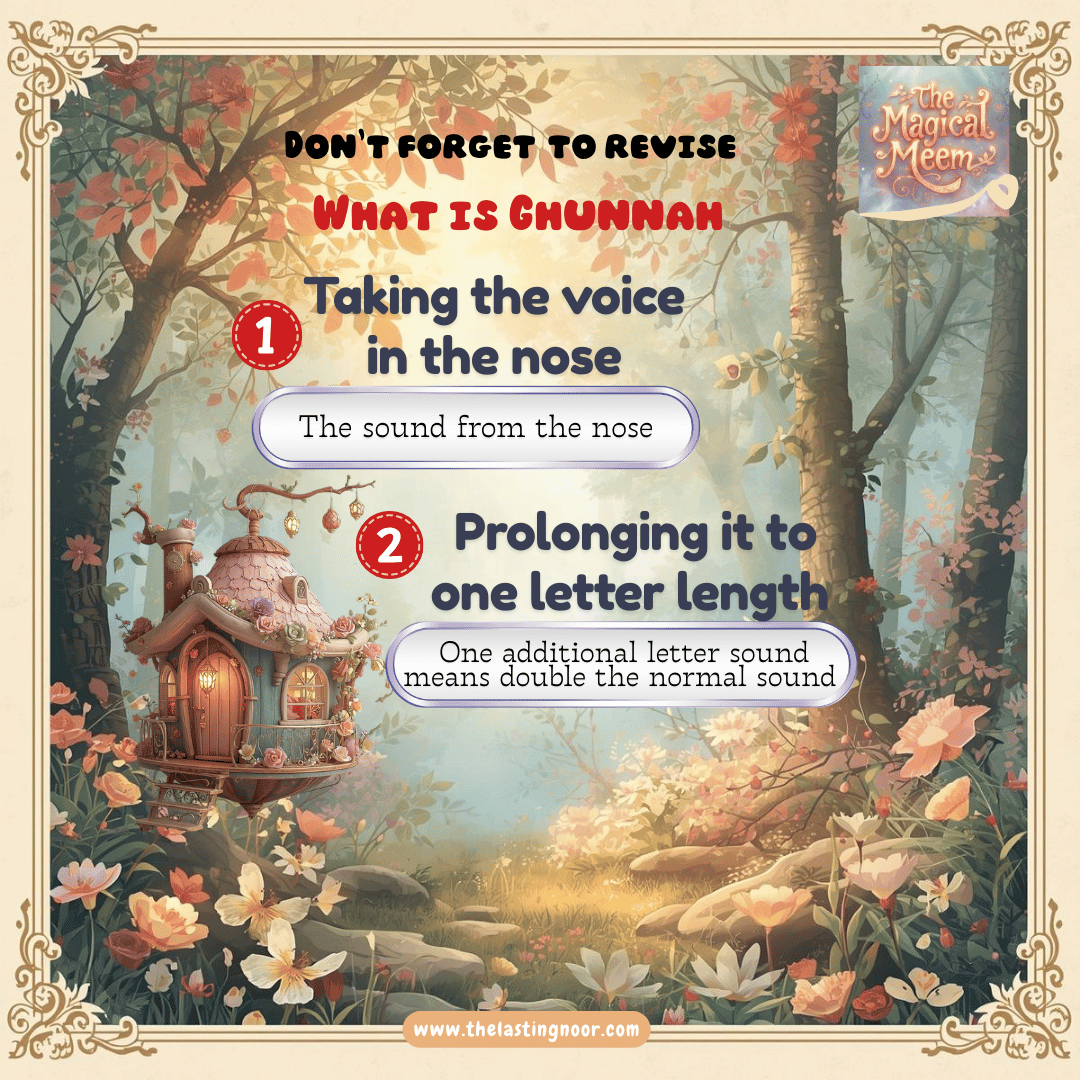 Ghunnah revision in view of meem sakinah rules