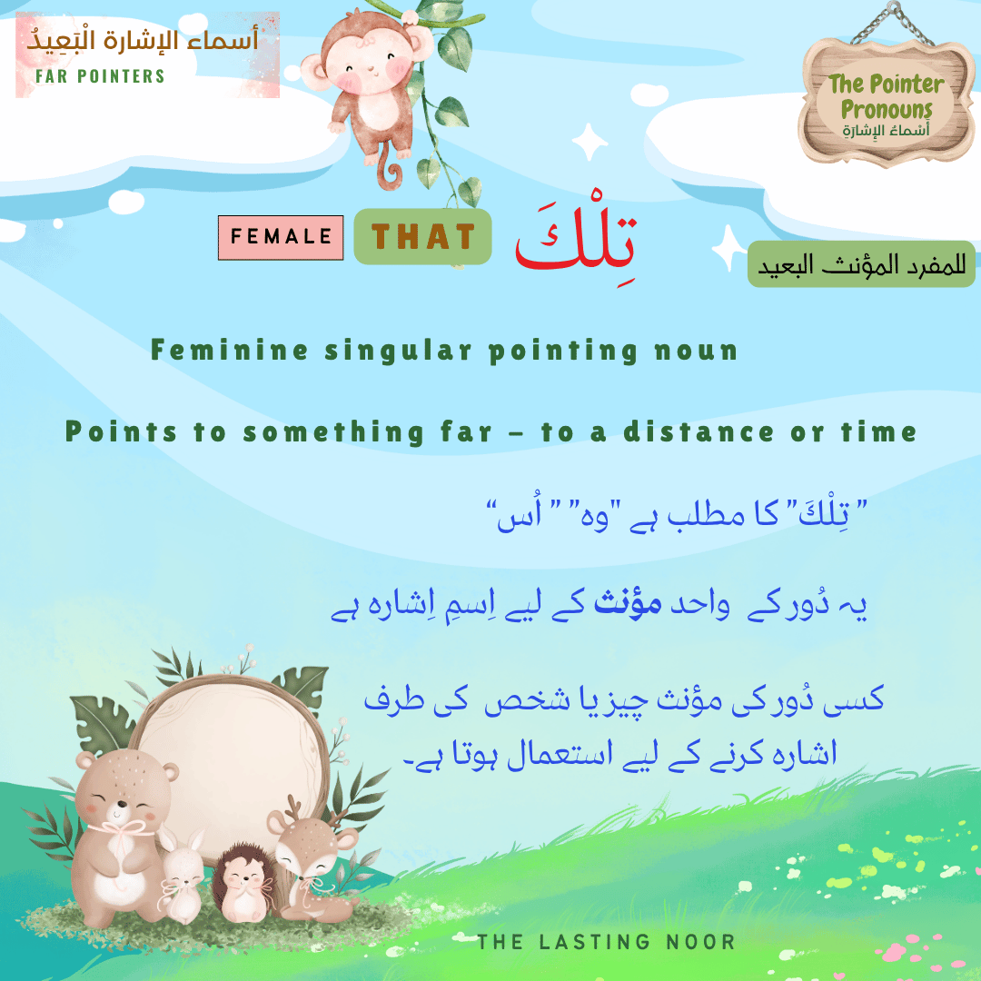 أَسْماءُ الإِشارَةِ The Pointer Pronouns - تِلْكَ - definition
