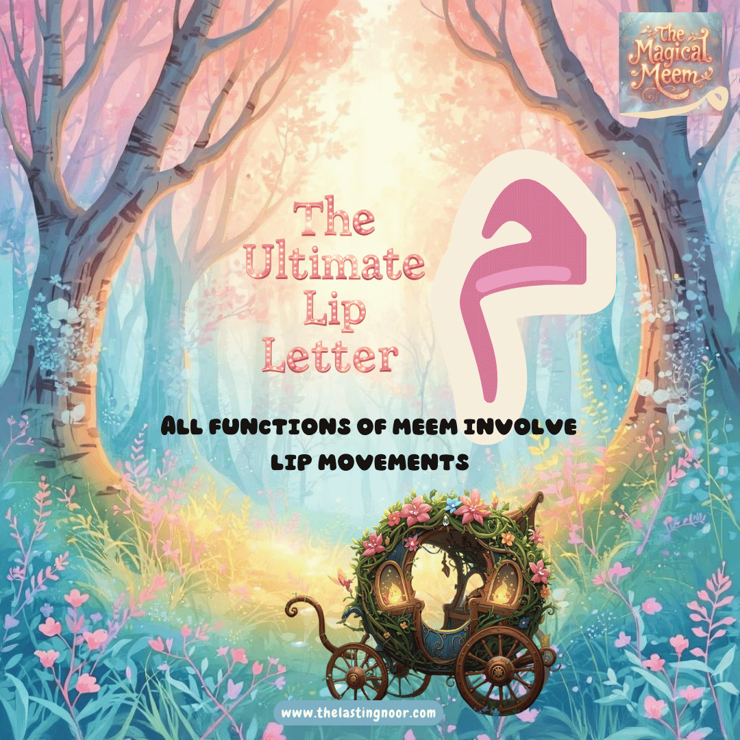 meem the ultimate lip letter