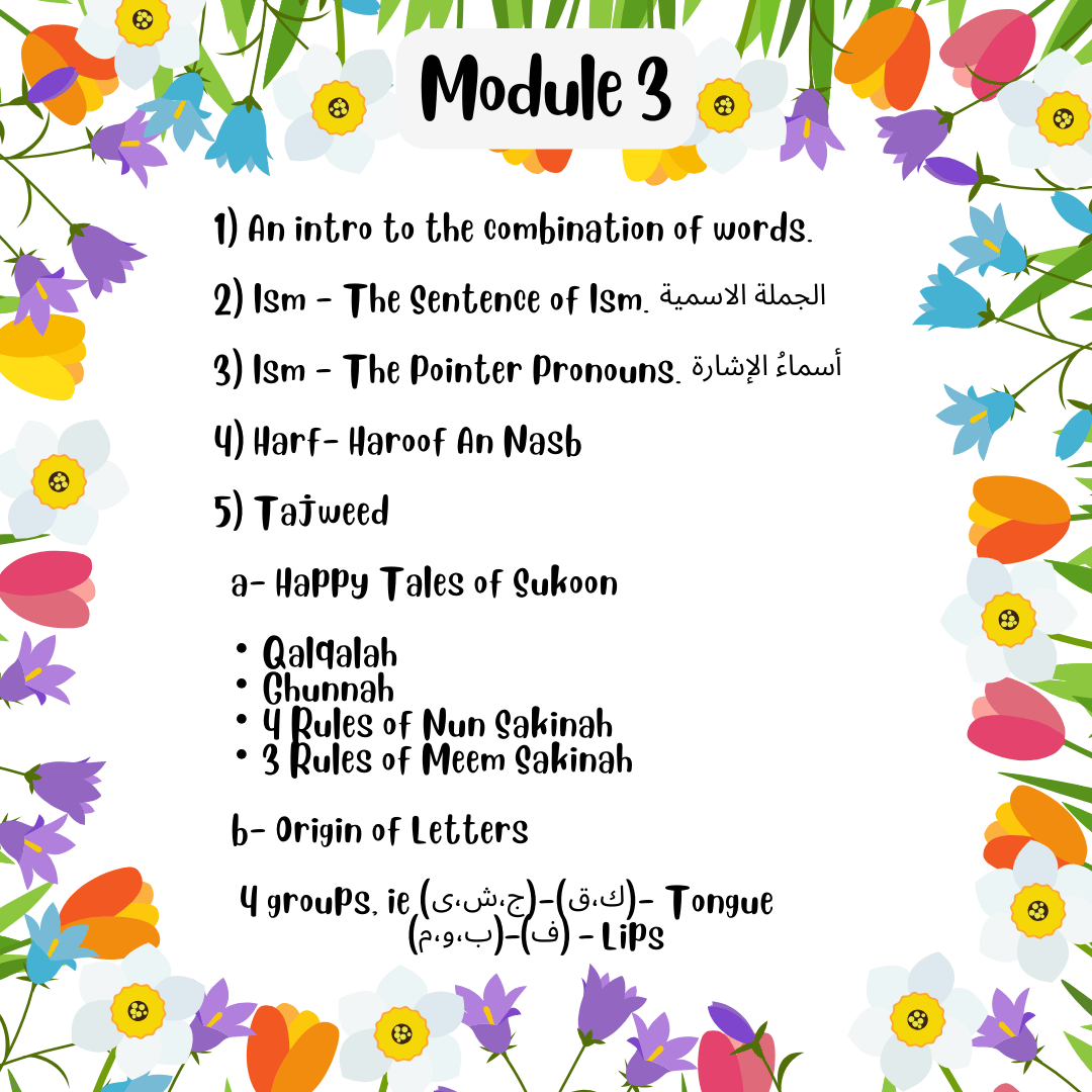 Module 3 - Syllabus and topics