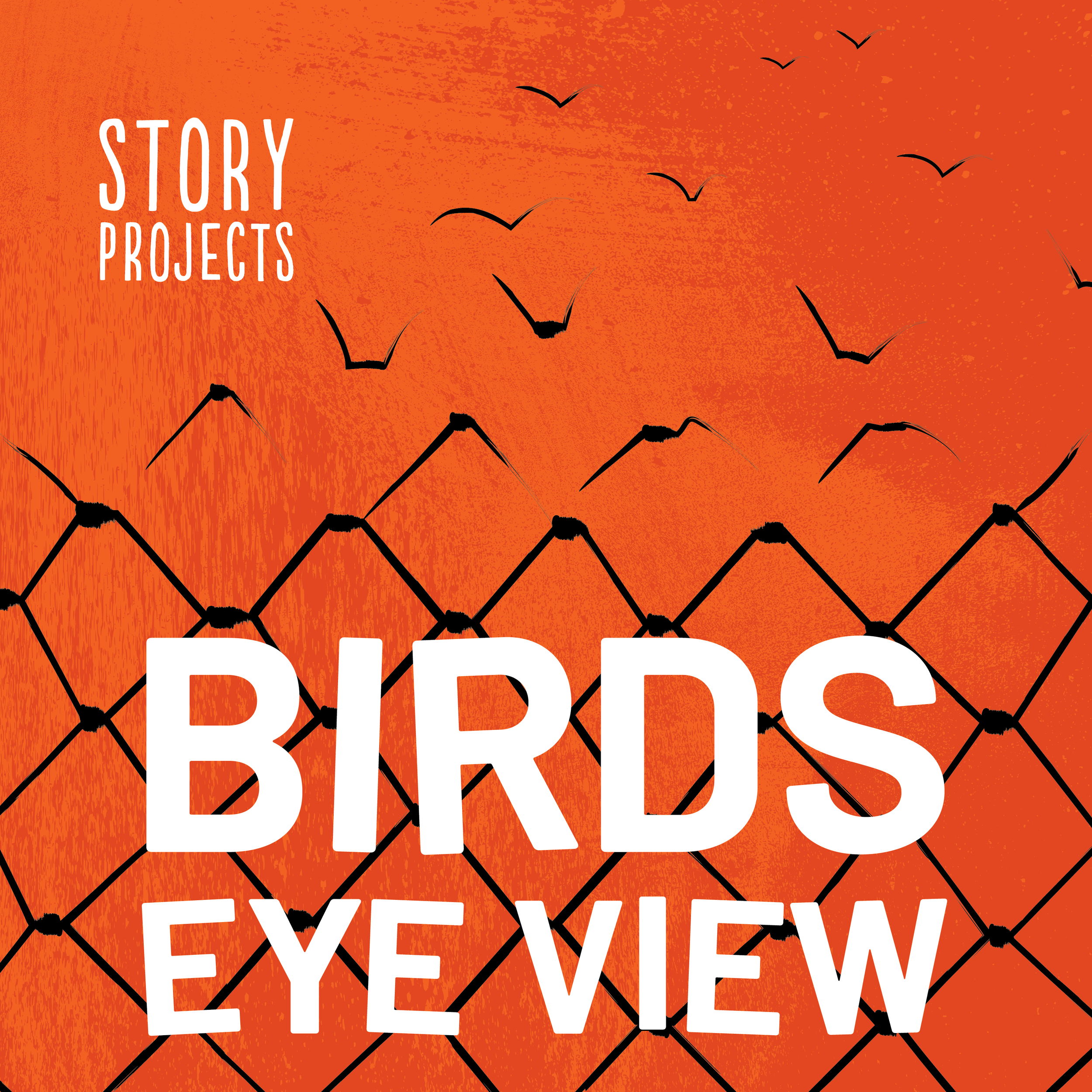 Homepage_featuredProjects_BirdsEyeViewe.png
