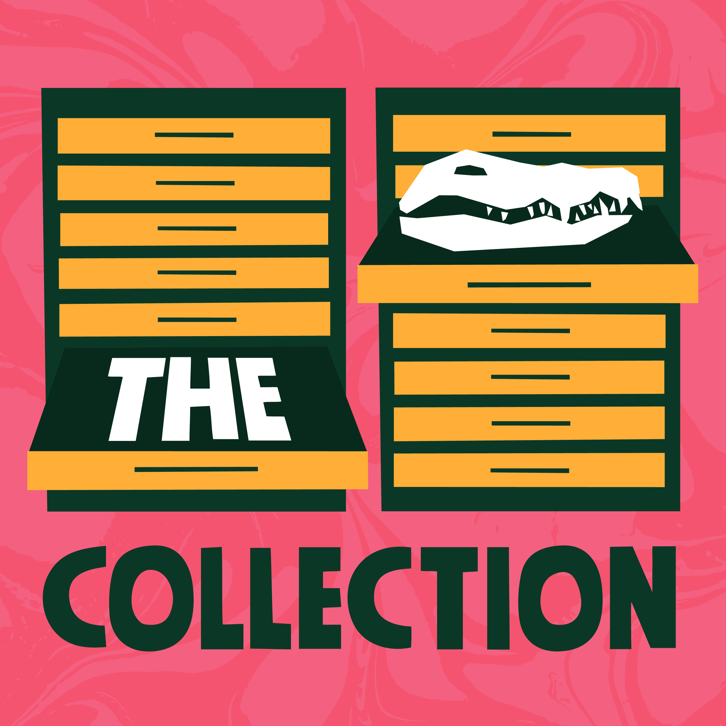 The Collection