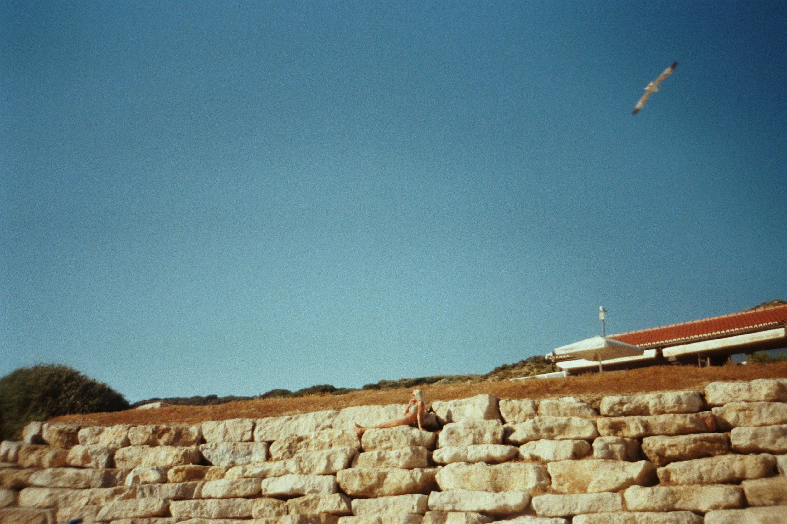 IMM025.JPG