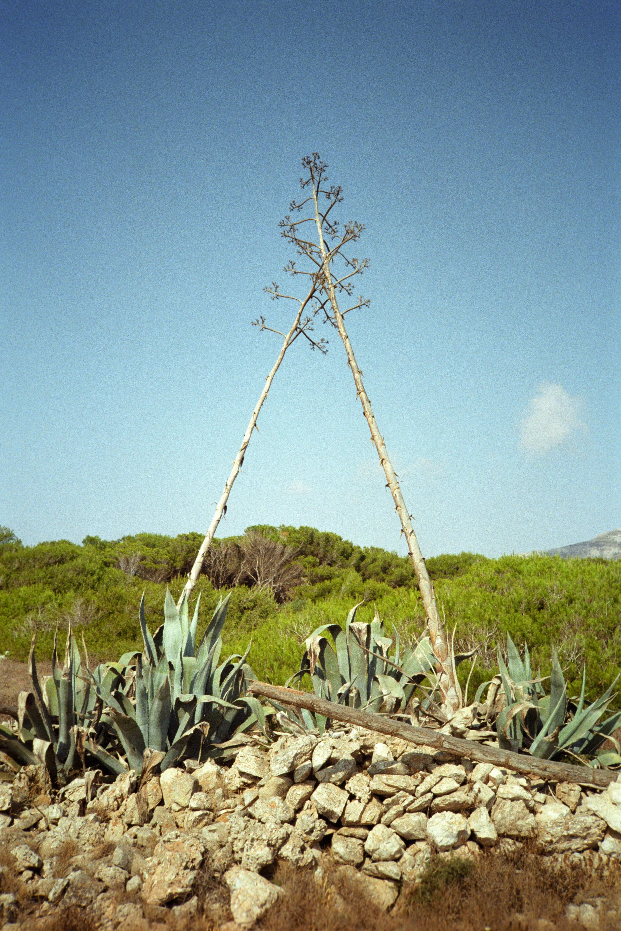027 copia.jpg