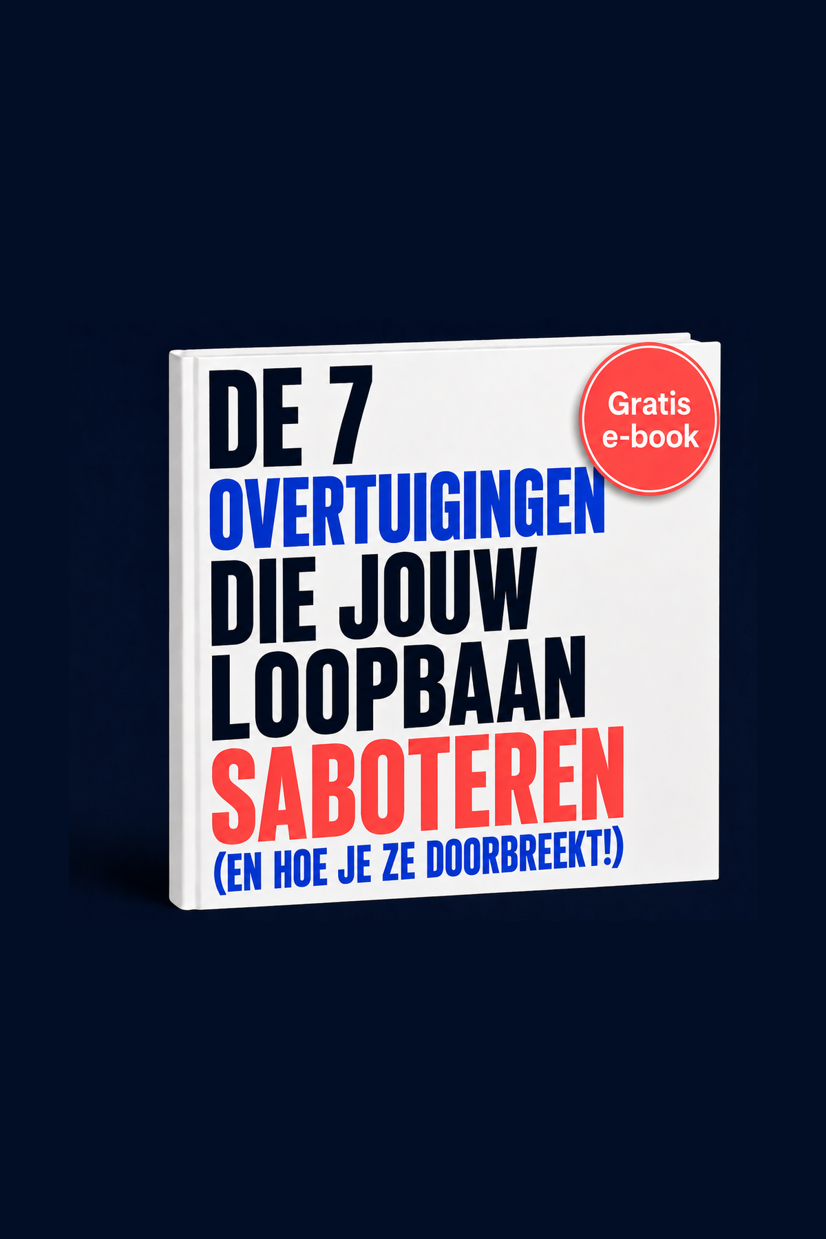 belemmerende overtuigingen ebook afbeelding