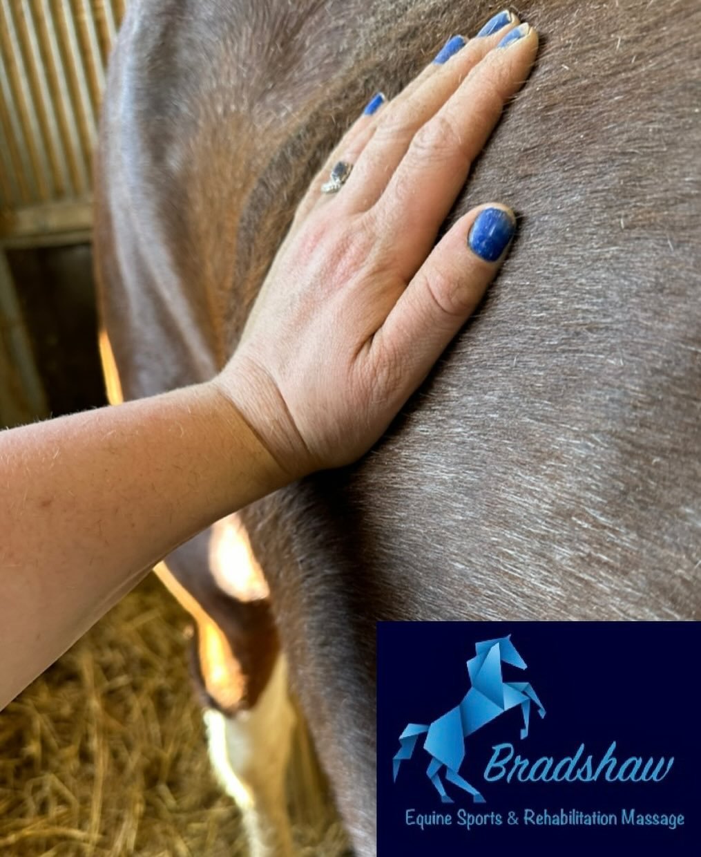 Lovely sunny end to the week, a few horses treated today ranging from a yearling to a 32 year old 👶👨&zwj;🦳

Massage benefits all ages and at all life stages, the results speak for themselves and I&rsquo;m so privileged to be able to help your hors