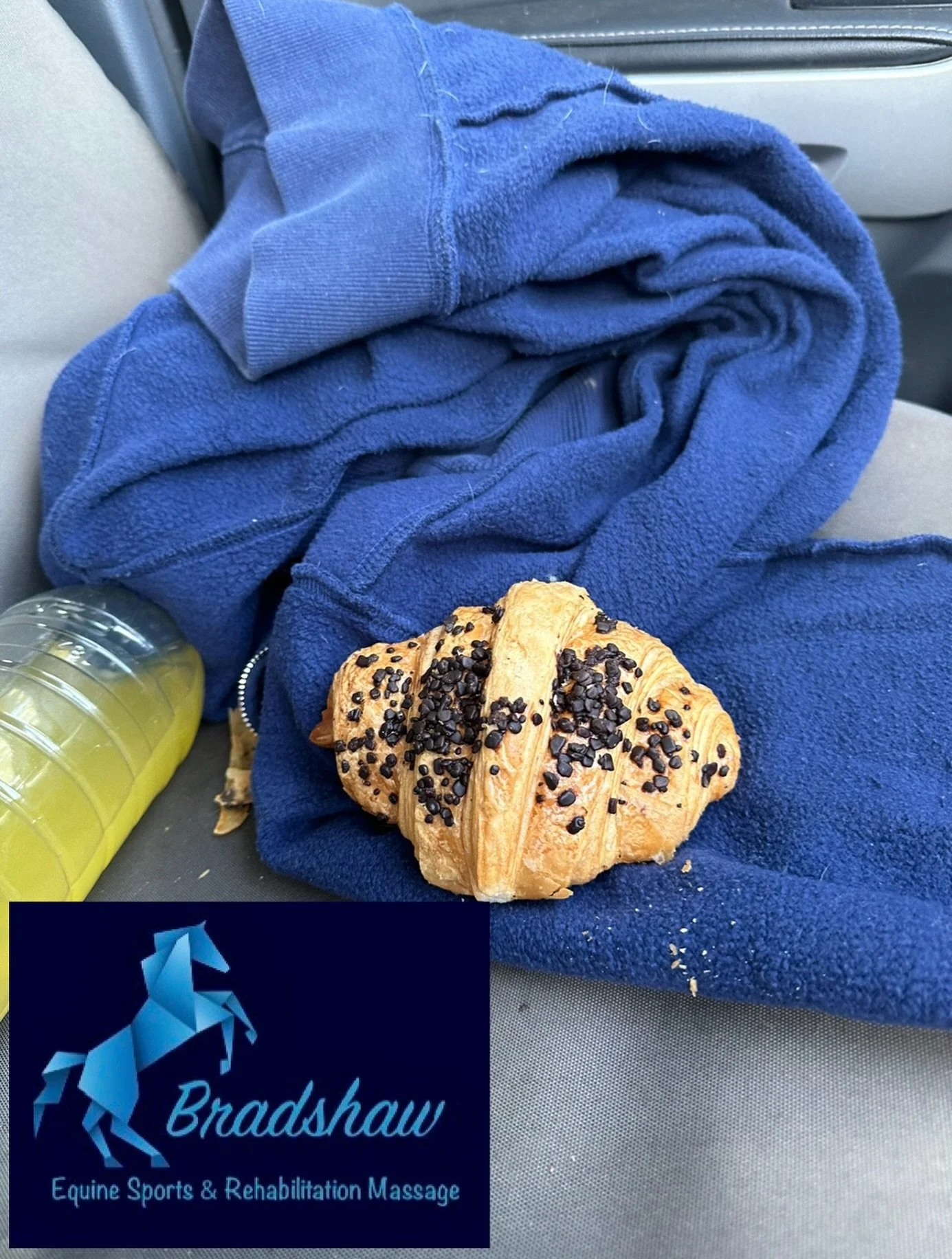 Bracken has the BEST owners! 😍

Thankyou so much for my lunch today, absolutely perfect and hit the spot 🍩
Great session today and we managed to dodge the thunderstorm&hellip;.and most of the rain ☔️🌩️

Always enjoy my time with this absolute prin