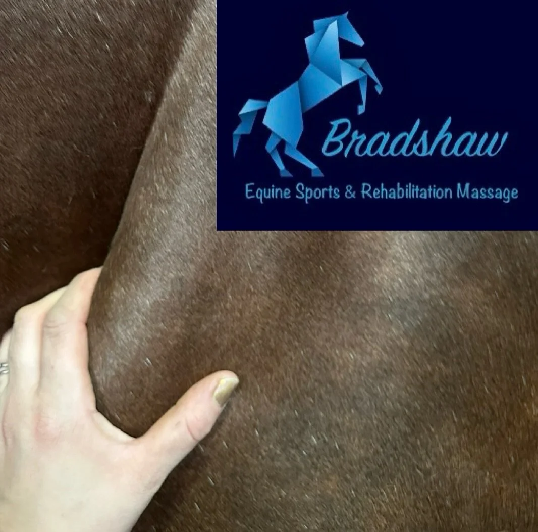 It&rsquo;s been quite a week, 6 days working in a row with holiday cover mornings and afternoons into evenings, and massages in the middle of the day, as well as helping a friend with a pretty big project too&hellip;.its 20:40 on a Friday night and I