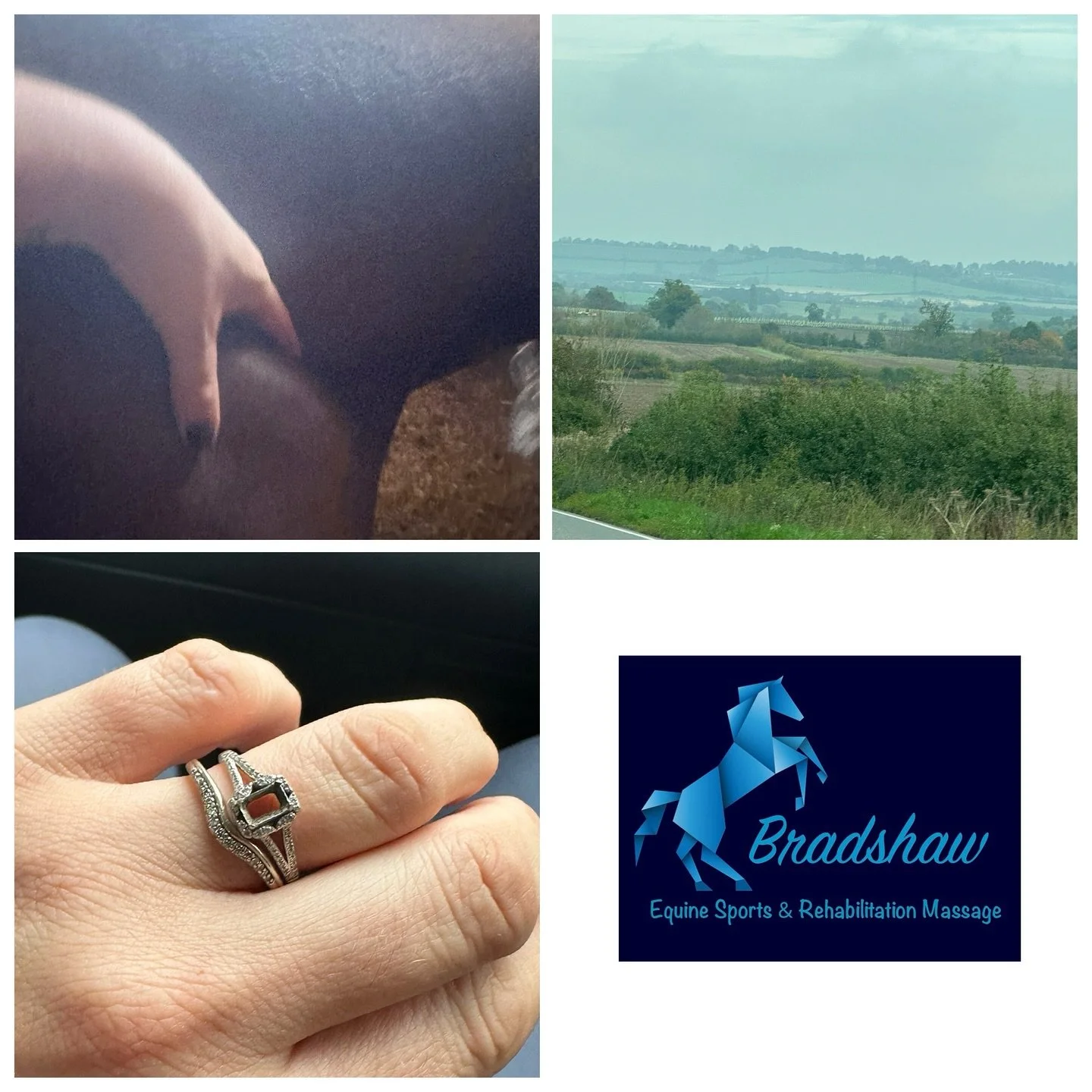 A day that ended in tears 🥹

Tiring day today starting in Hertfordshire then across the border to Buckinghamshire and lovely countryside views for miles, to treat some showjumpers and continue rehab programs 🌳

Then back into Hertfordshire to finis