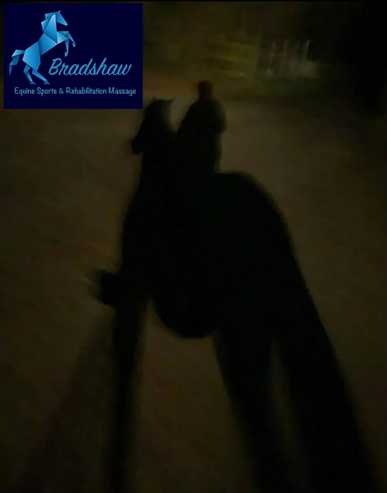 My horses were all done this morning before I started a long day of work, with my first client at 7am. A lovely way to start the day and thankfully it wasn&rsquo;t raining ☔️

Lots of horses treated today, some really in need of help. It&rsquo;s that