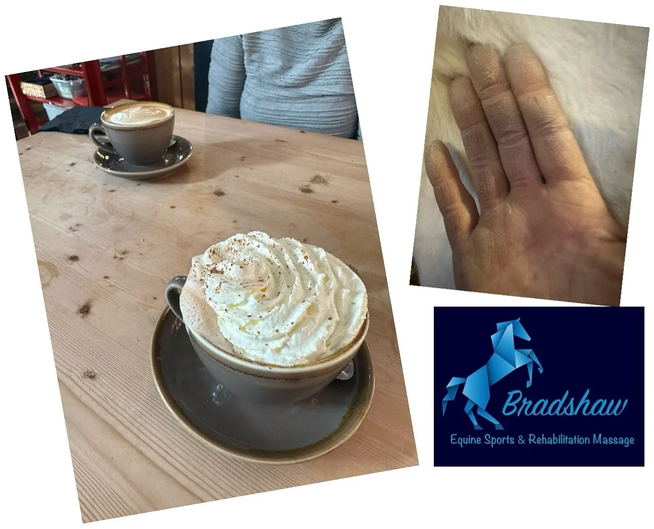 An early start with a few massages to help with some back problems&hellip;.horses much much happier and more comfortable following my visits, homework exercises given and I&rsquo;ll be back to treat them in a few weeks to ensure their backs continue 