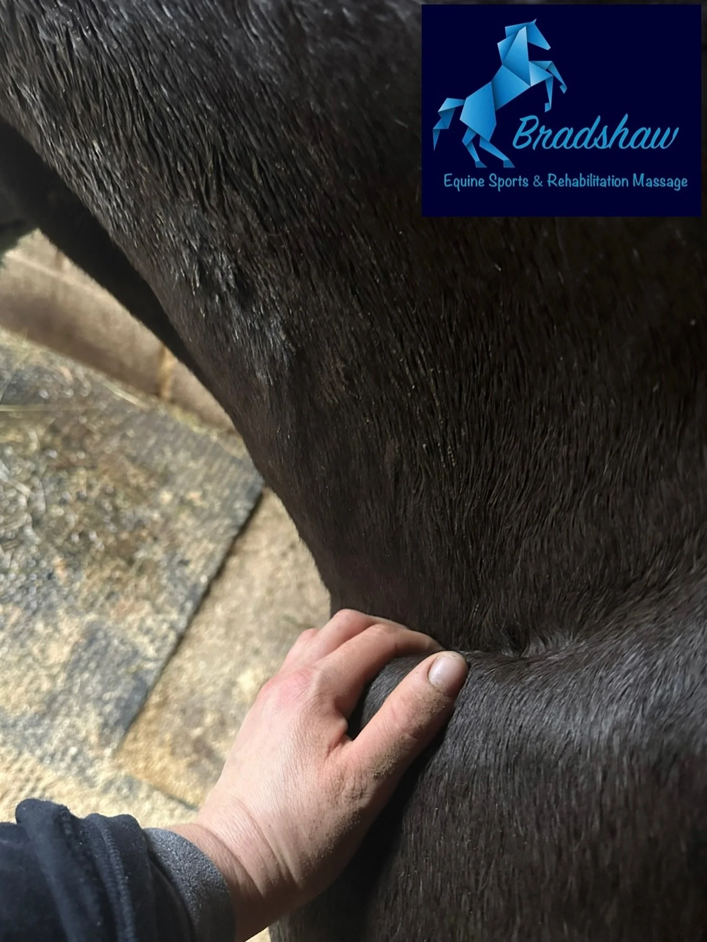 An early start to the week with the first massage at 7am this morning! I&rsquo;m a morning person so early starts are never a problem 💙

Bit of a rainy day but treating long term clients and a few new ones today made me forget about the weather. Lov