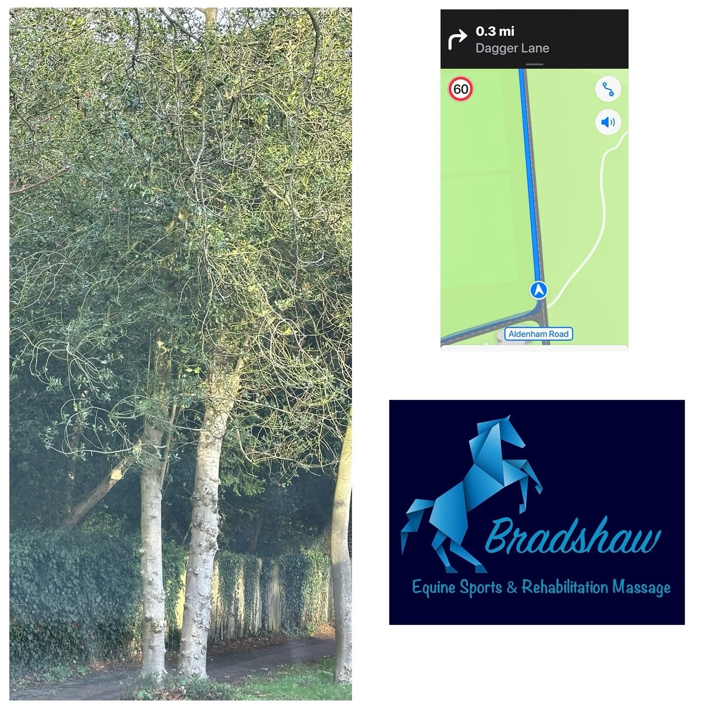 Another early start today treating one of my absolute favourites 💙

Then on to Bushey for a very busy full day. 
A brilliant day and thank you to everyone today, I haven&rsquo;t smiled so much in ages 😍

Up early again tomorrow and with any luck, t