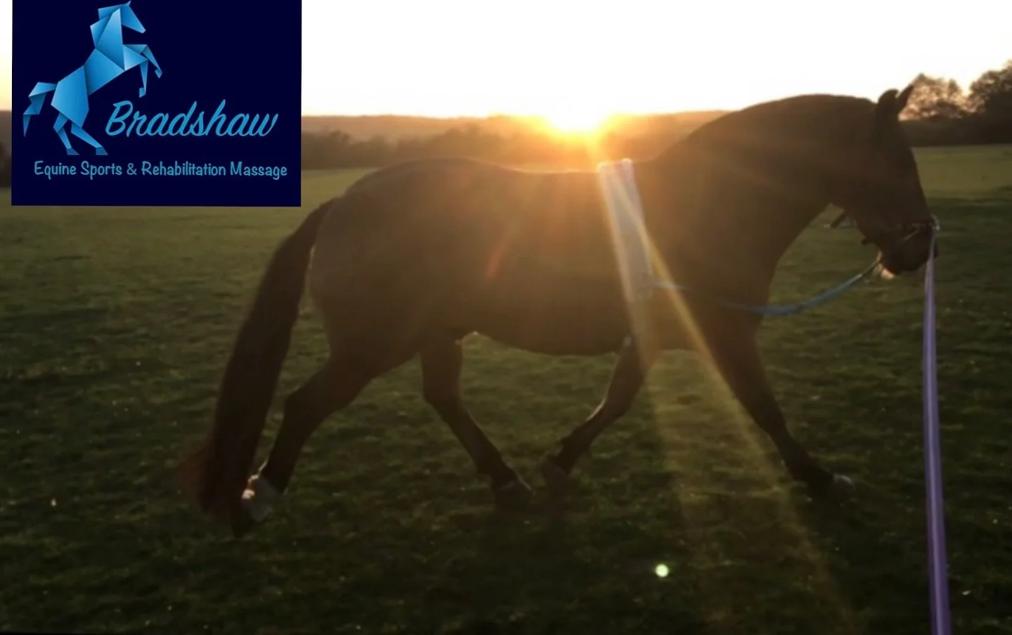 Thought I&rsquo;d post a sunny photo in the hope the sun may reappear ☀️

A complete rollercoaster of a week this week&hellip;.

From some Yard Owners moving on meaning all change, a yard closure but equally a few new yards and private ones, sadly so