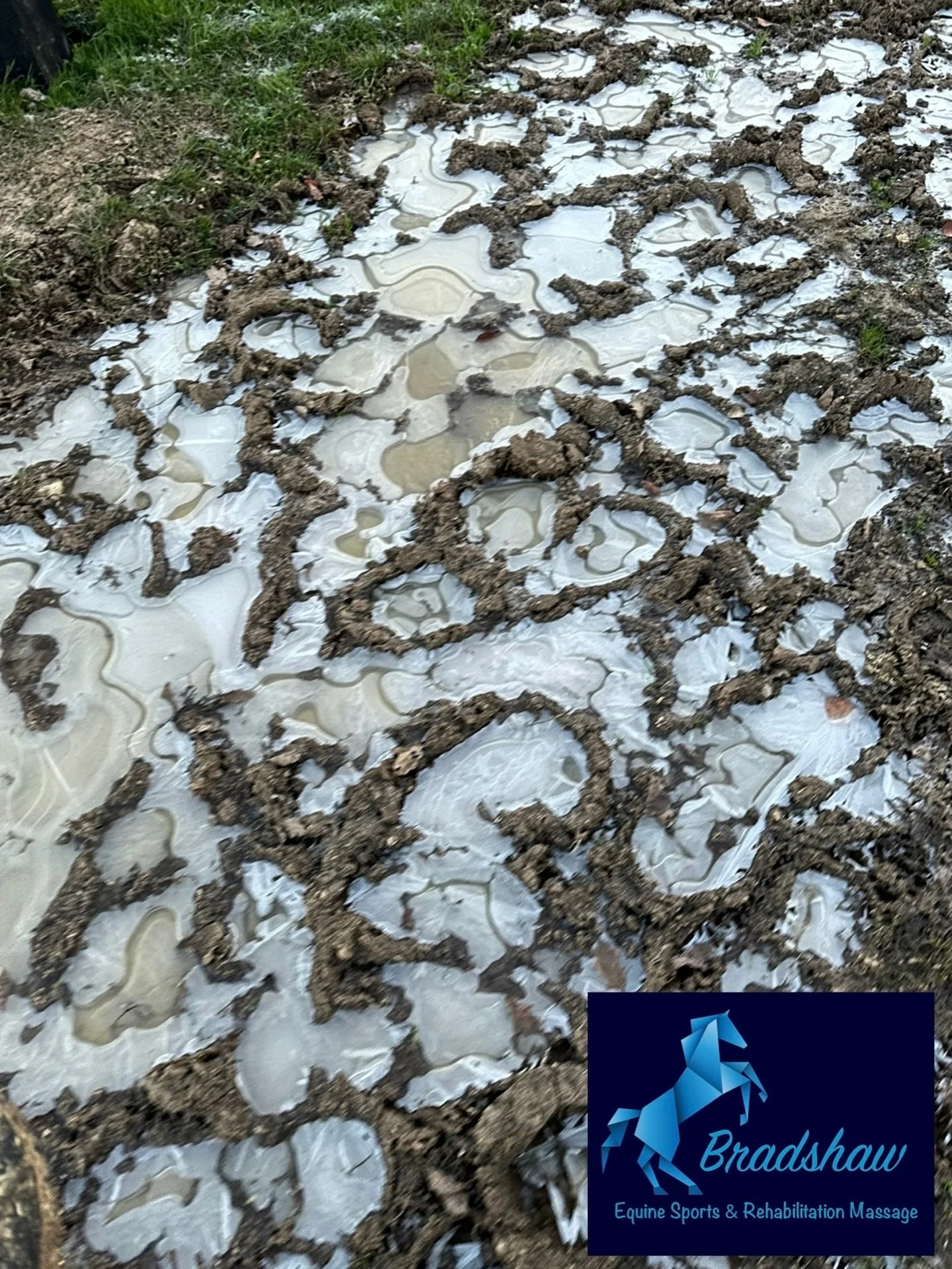 Apologies to anyone who messaged from mid afternoon yesterday onwards. 

It was a long day in the cold and I absolutely froze, my fingers were so cold that my phone didn&rsquo;t think I was alive so wasn&rsquo;t registering my touch 😂 and when I got