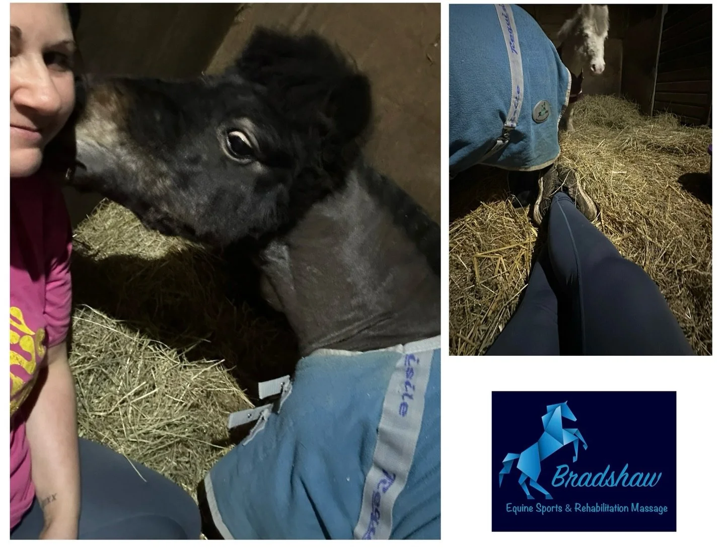 Today has been tough, pre Xmas exhaustion has kicked in 😔

So I ended the day sat with my Shetland and we just watched the world go by for a bit (I tried not to fall asleep in her hay, and she was quite happy munching away around my head) 😂

The la