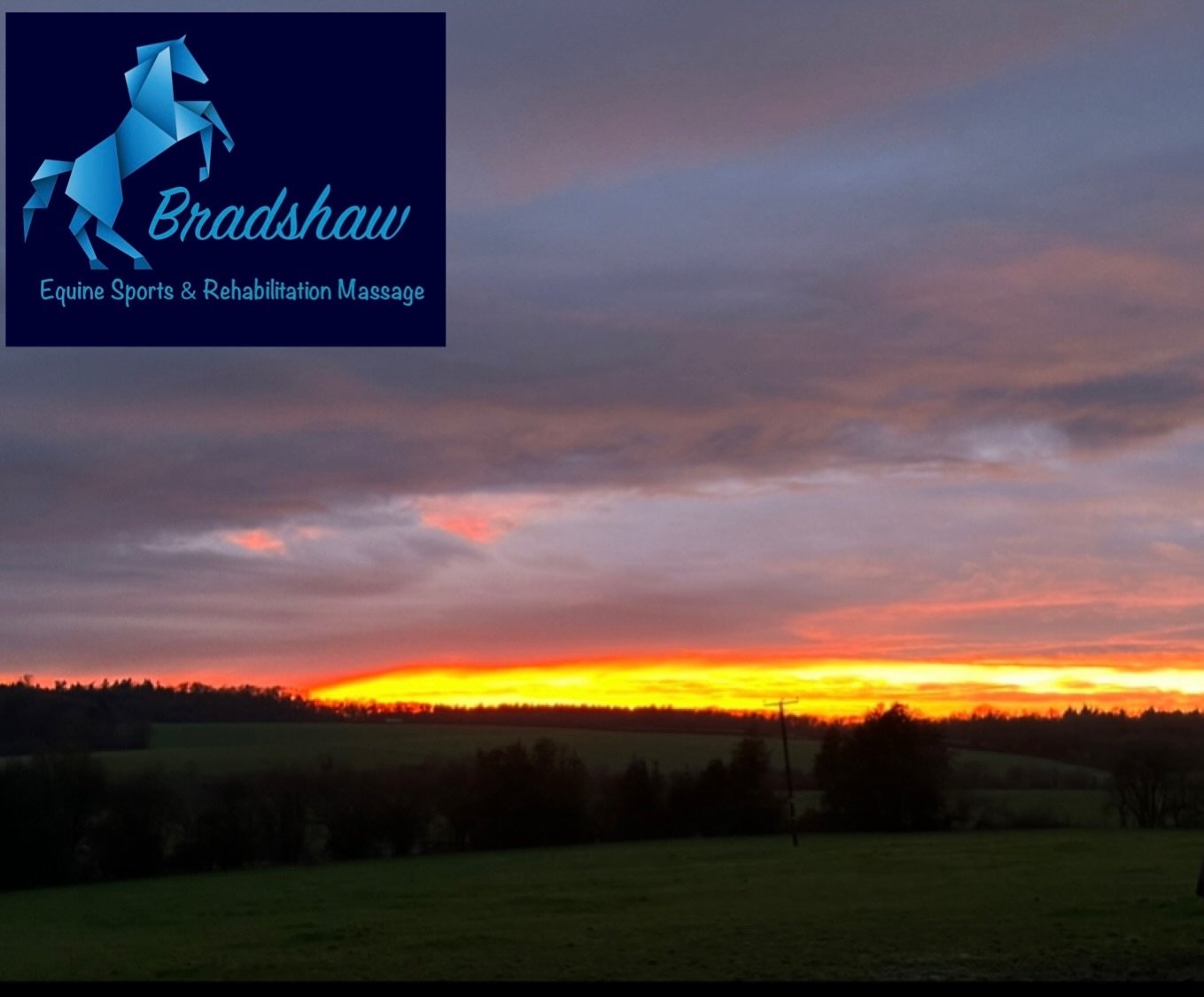 An early post today as this week has been completely hectic with no time to spare! 💙

A few days holiday cover, a lot of horses treated, working alongside Vets on some rather complex cases, from current racehorses, a few tweaks to some top show jump