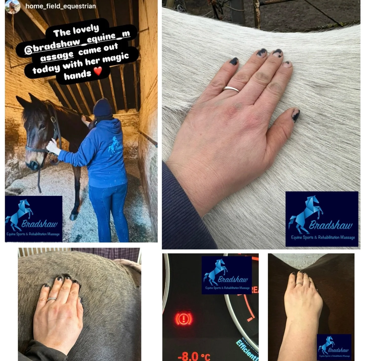 Whew, that was a crazy busy week with equally crazy weather! ❄️🌫️💨☔️

Lovely to see so many of you this week and to help your horses with coping in this truly awful weather. Lots of issues related to ground, slipping, standing in for longer, change