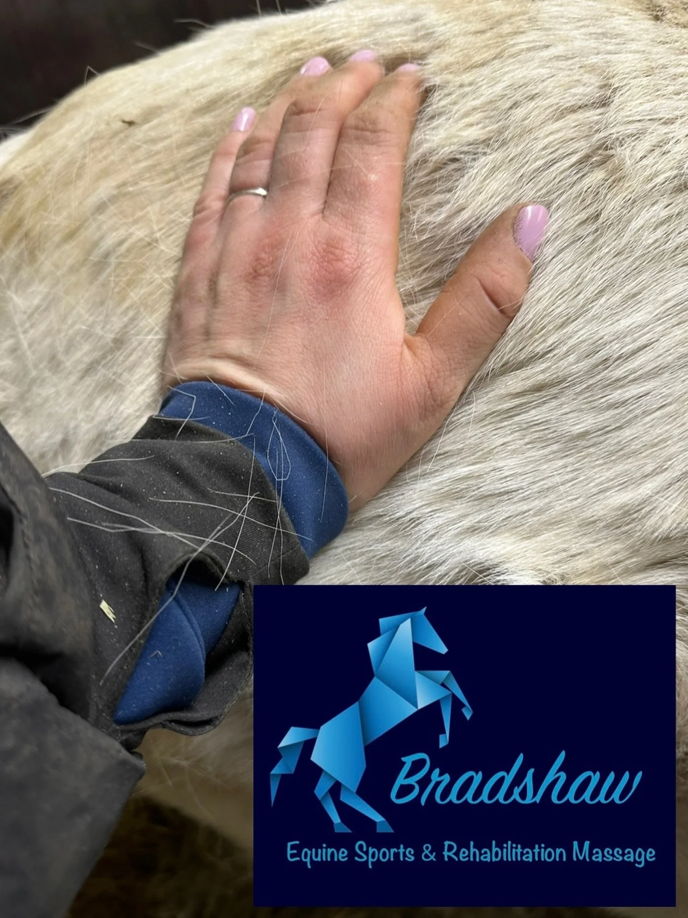 Apologies for the radio silence this week, it&rsquo;s been long back to back days and two poorly family members (animals) meaning having to fit in vets too 😞

Thank you for everyone&rsquo;s well wishes and advice. 
It&rsquo;s been lovely to see so m