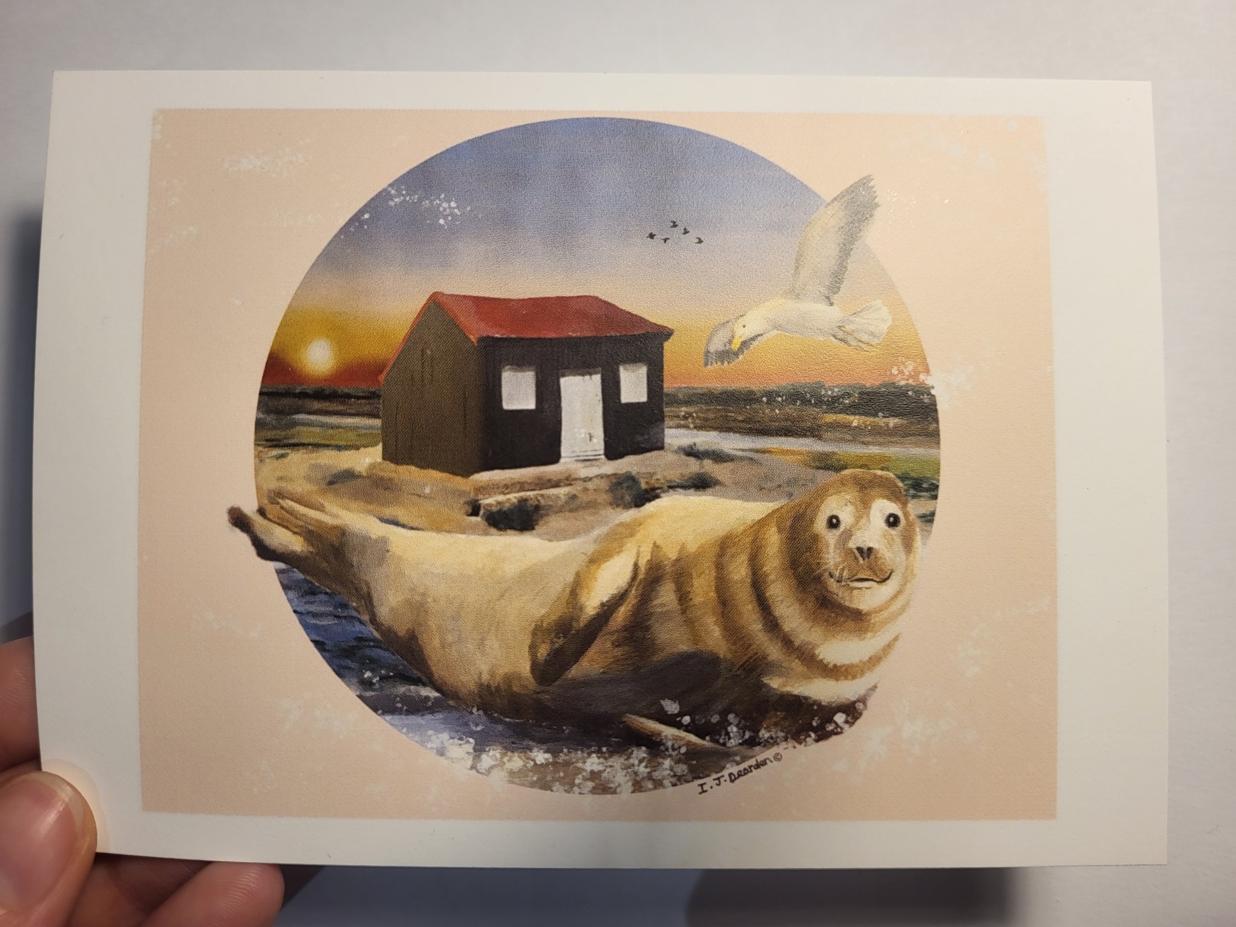 Rye Harbour Postcard 2.jpg