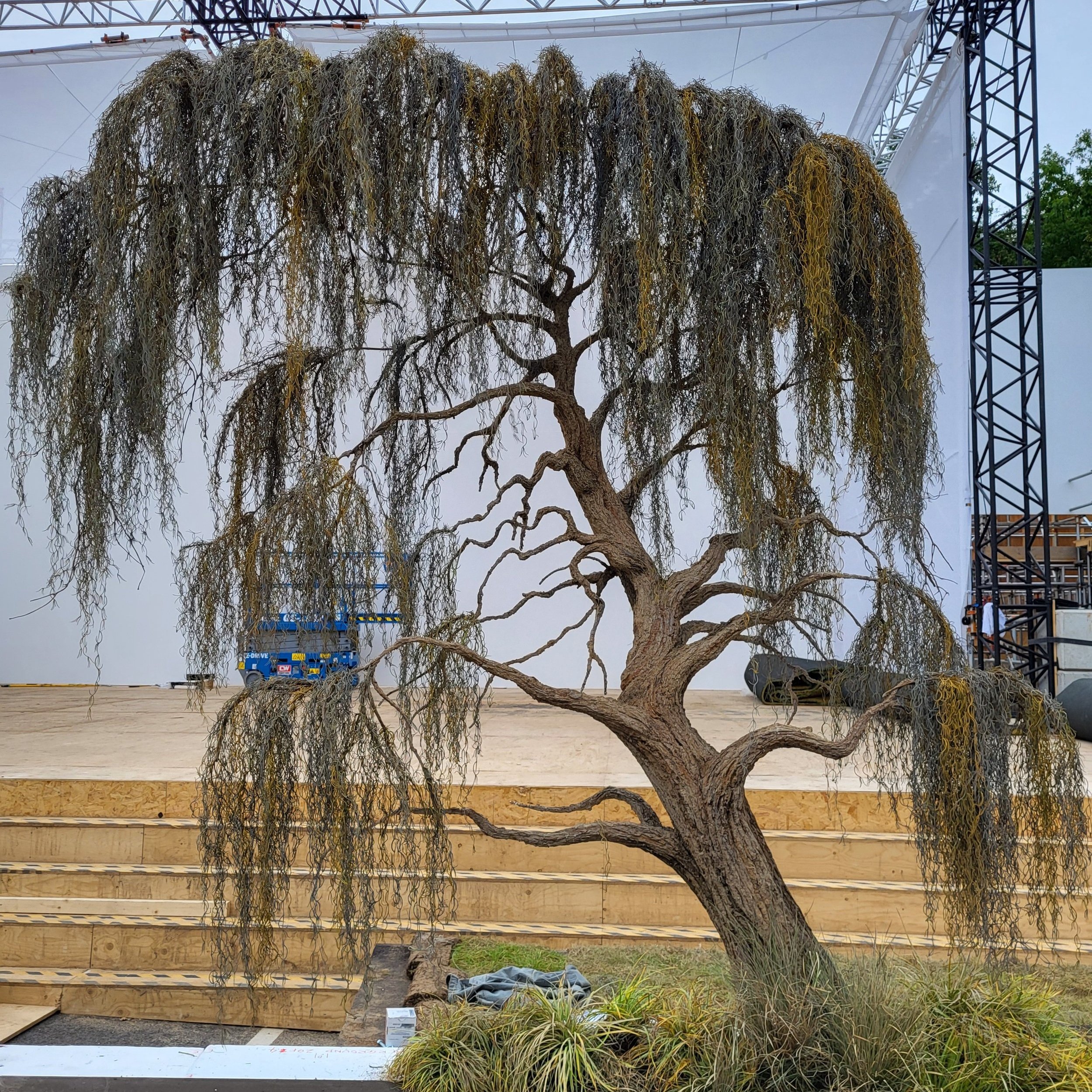Vines painted for Wes Anderson's 'The Swan'. Scenic Painter. Ilona Dearden