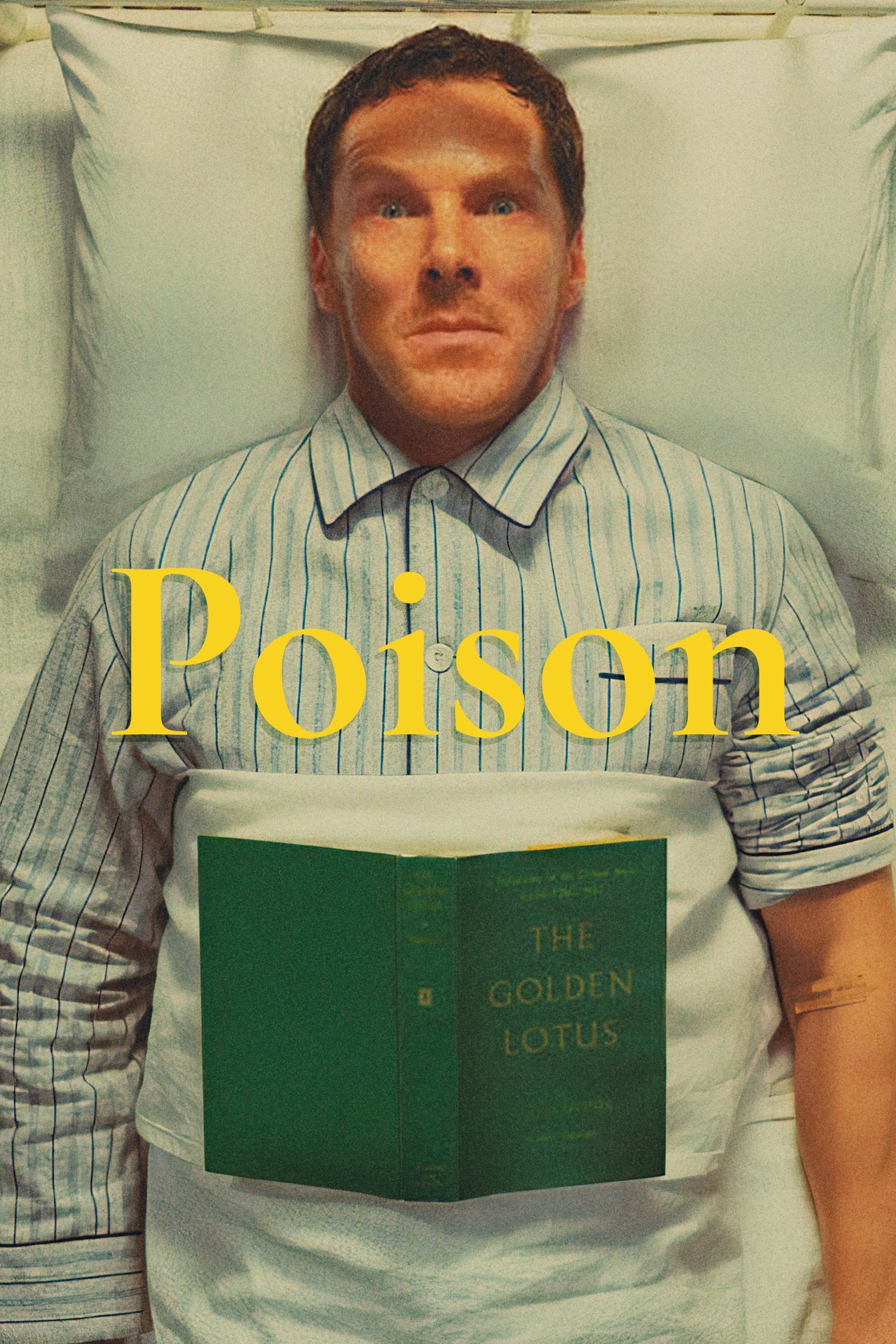 Poison 2022. Netflix. Scenic Painter