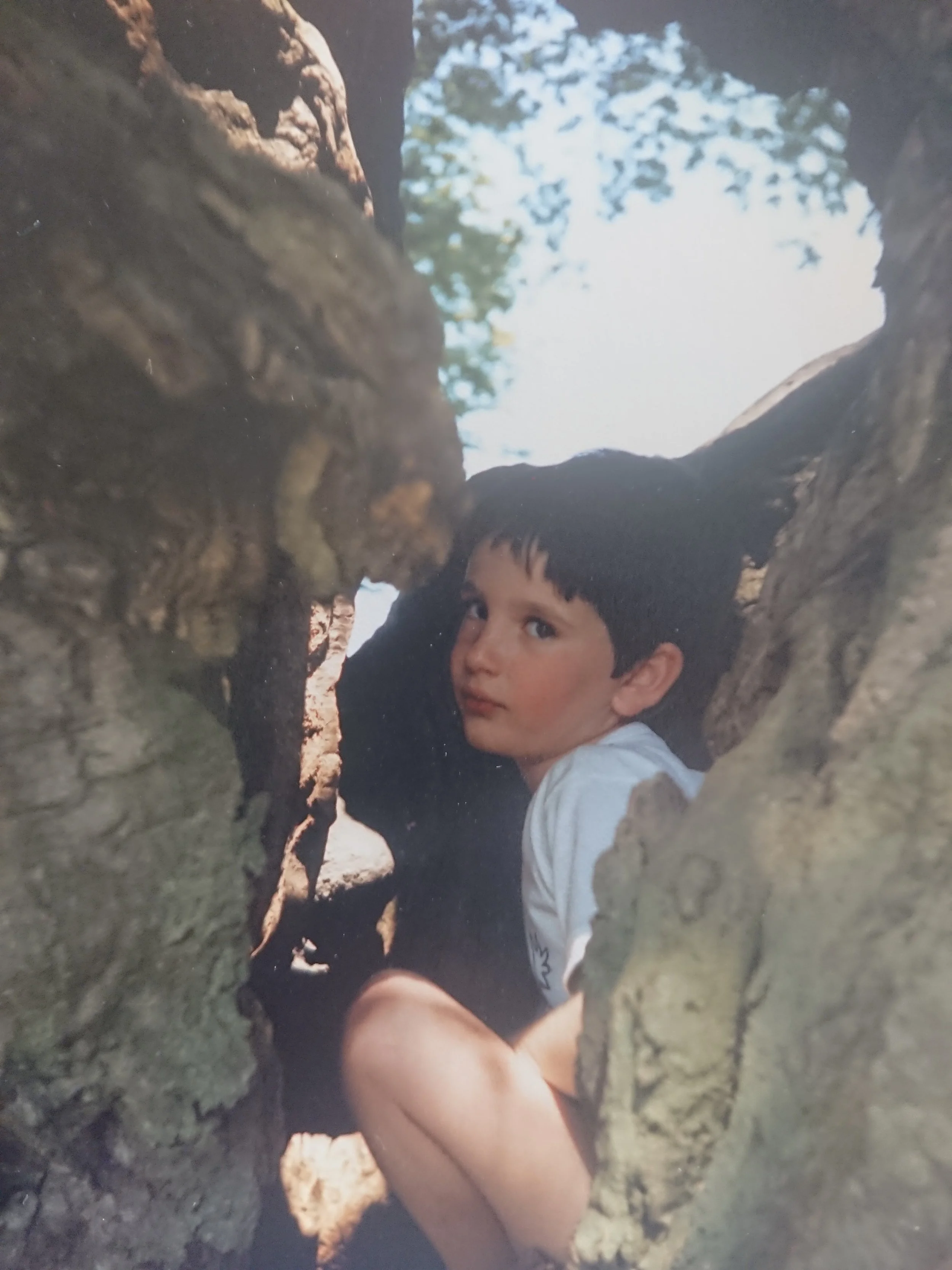 Simon Magnus as a child with short dark hair and a white t-shirt peeks through a crevice in a tree trunk, with blue sky and green leaves visible in the background.