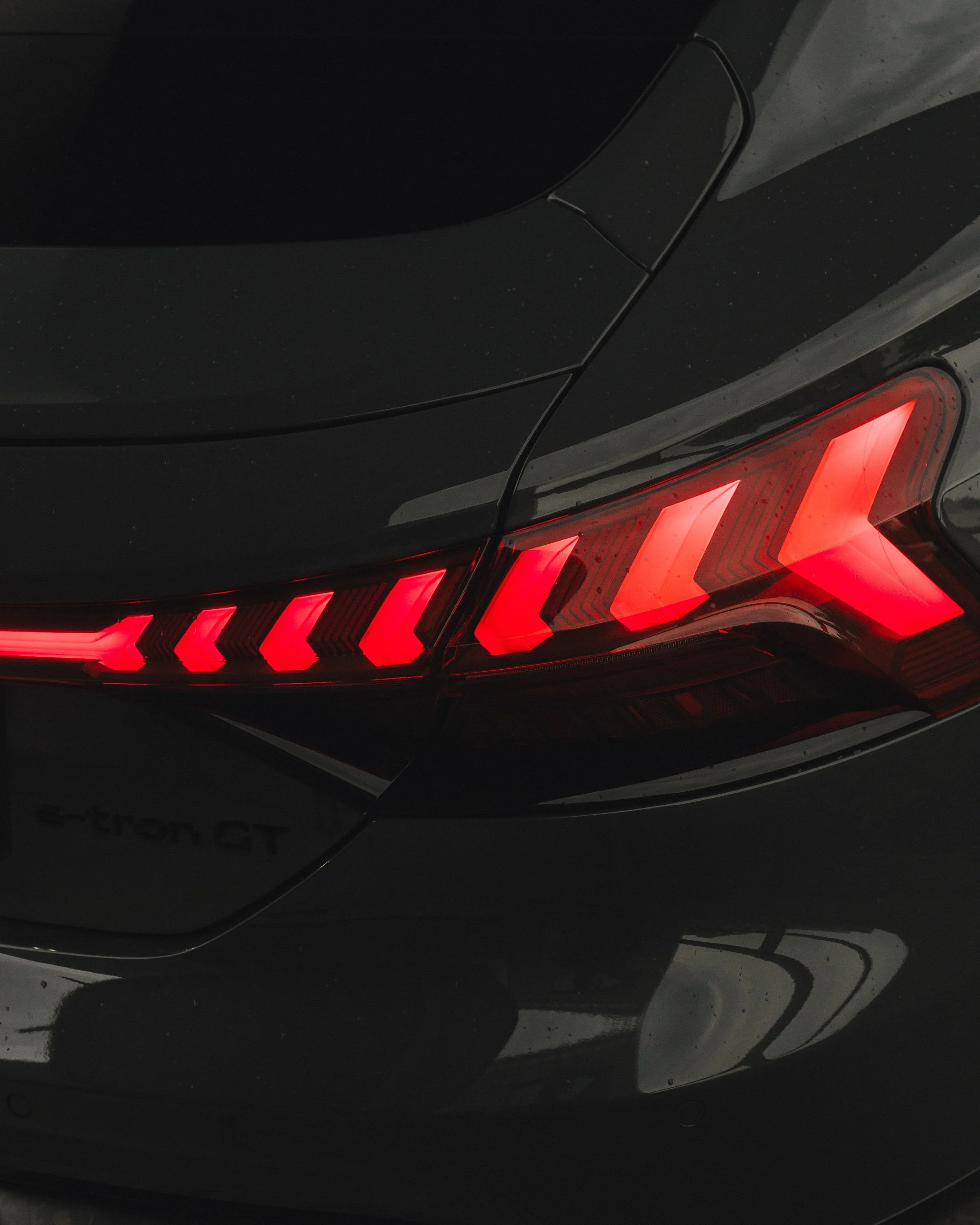 AR509317.jpg