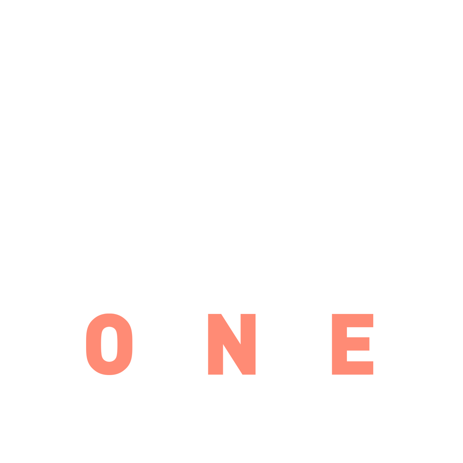 Square One Move Organizers