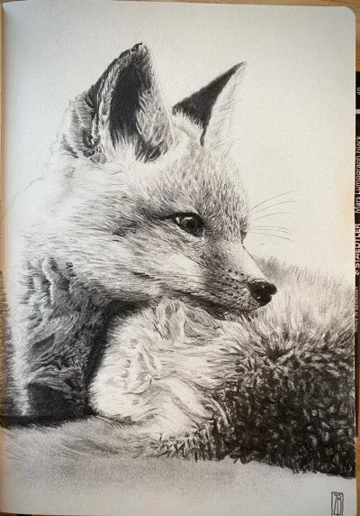 crayons_animal_fox_r.jpg