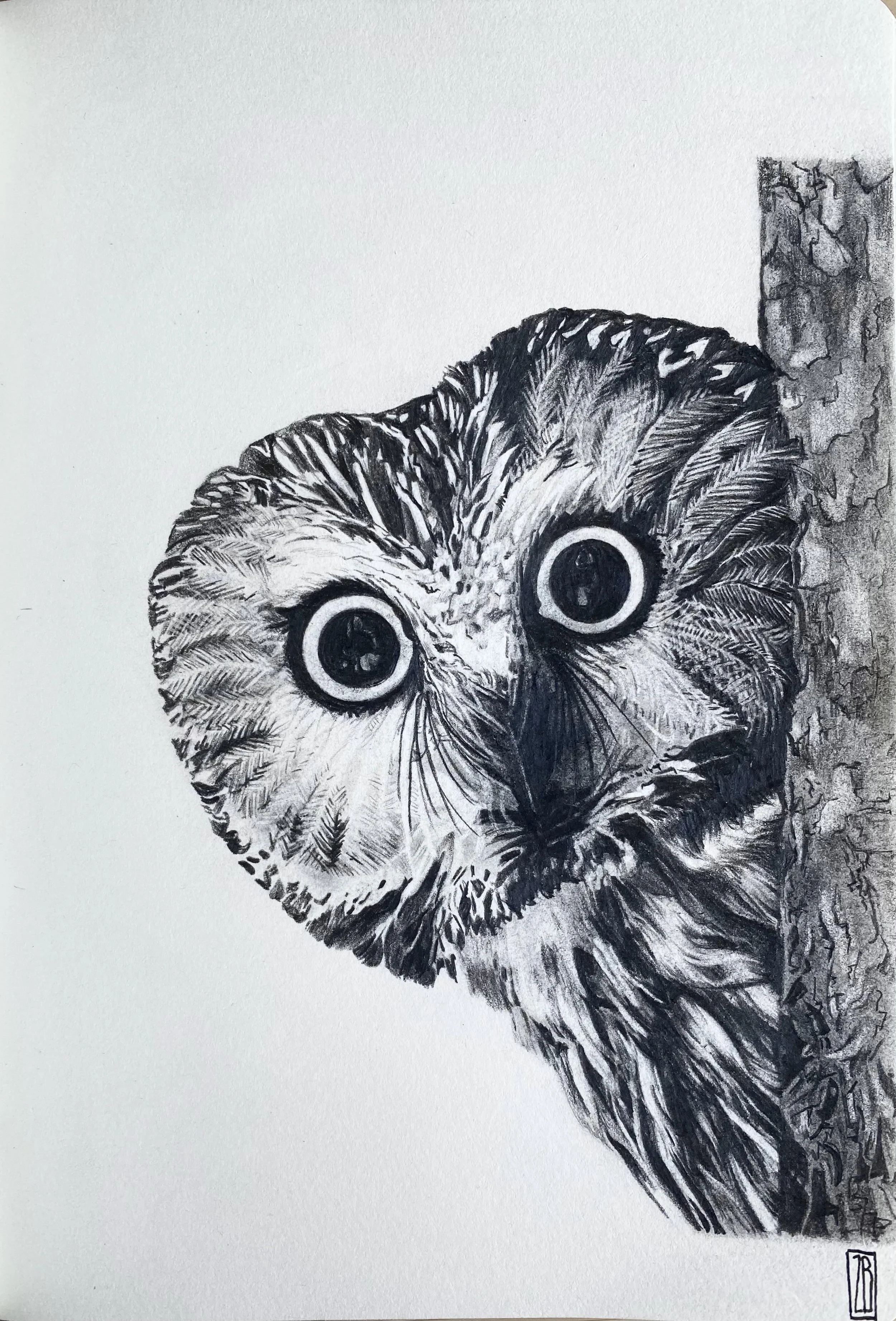 Zoe Baer Realistic Oil & Charcoals Paintings People & Animal