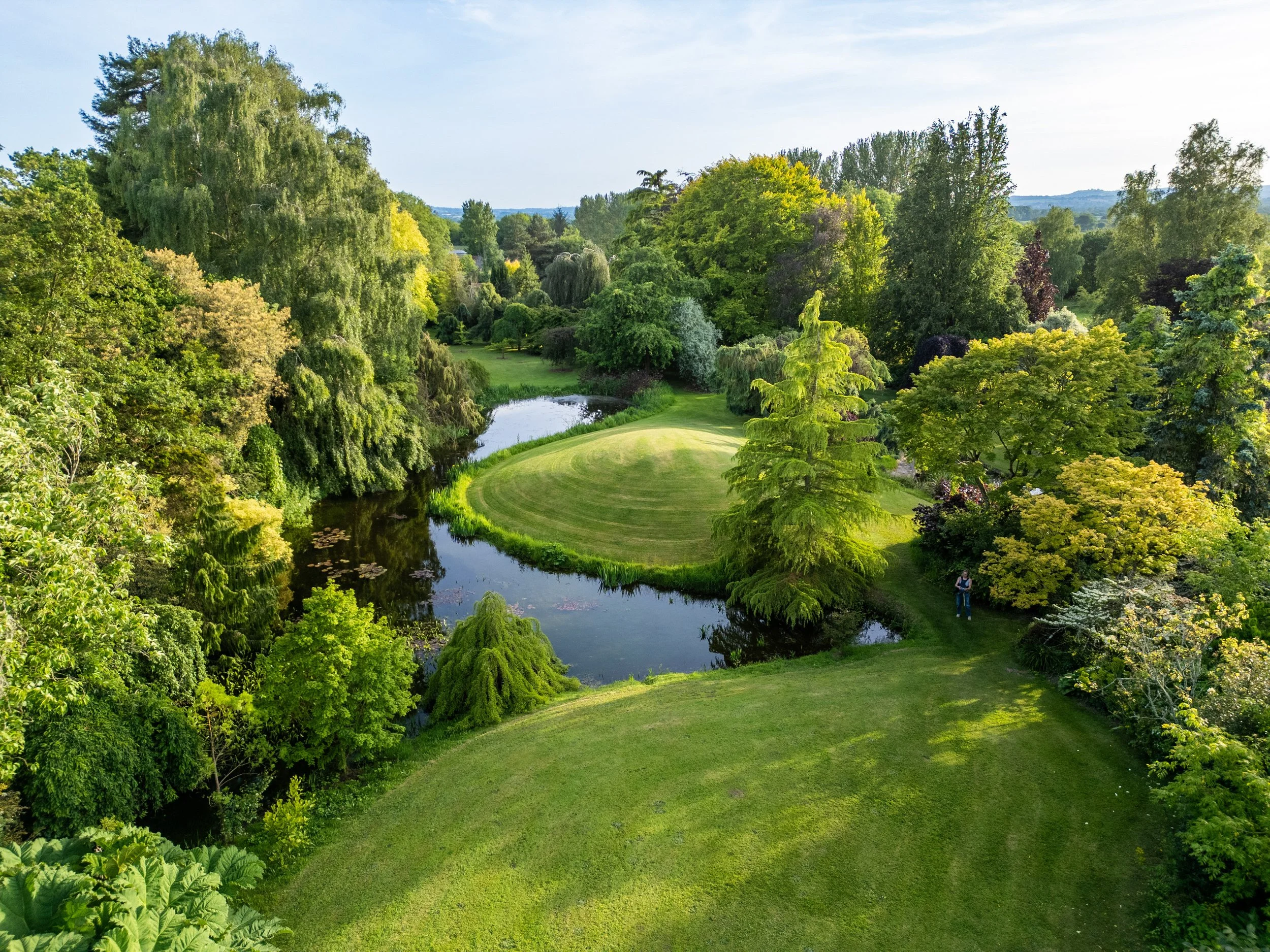 1806DJI_0803.jpg