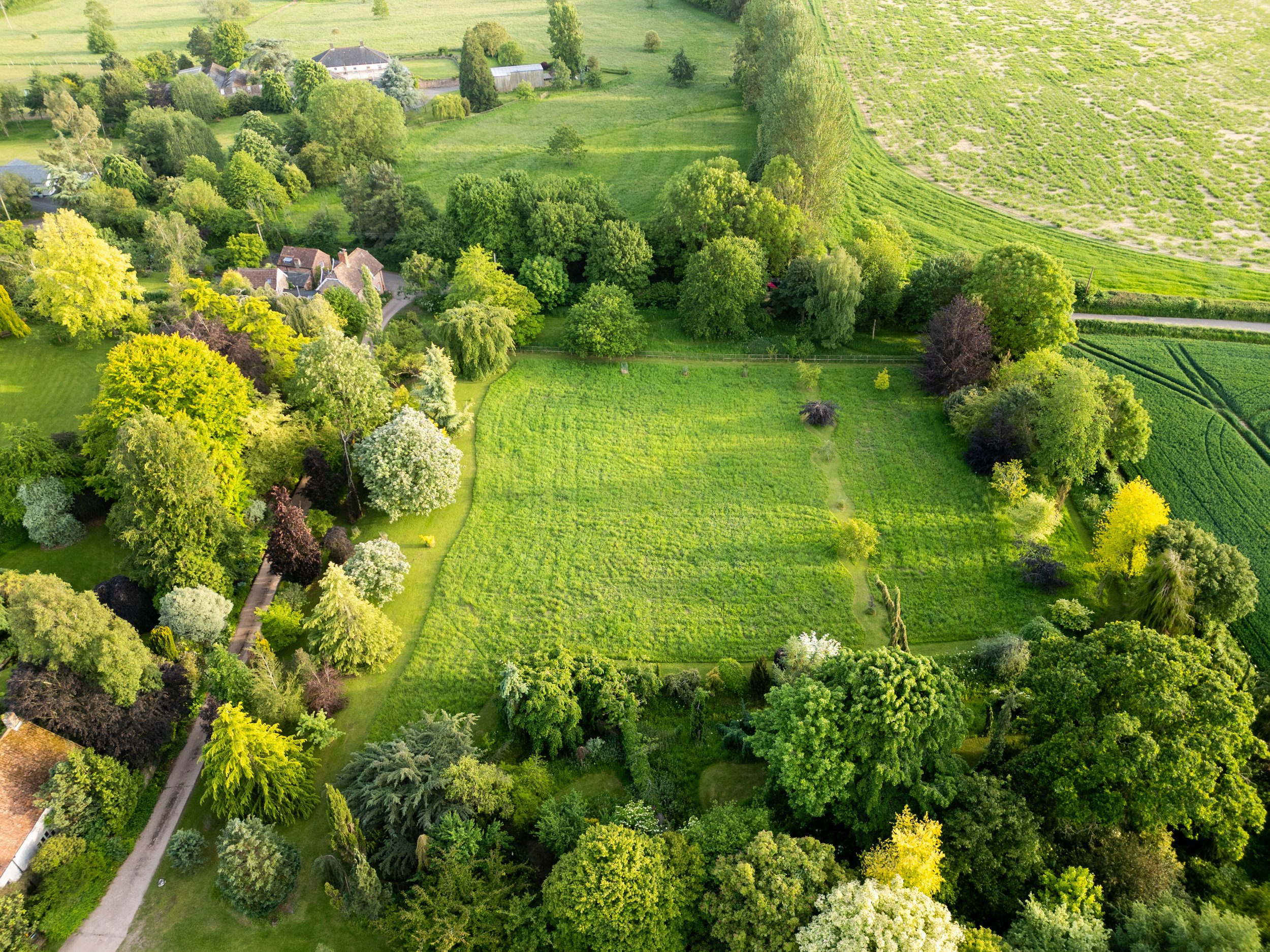 2714DJI_0841.jpg